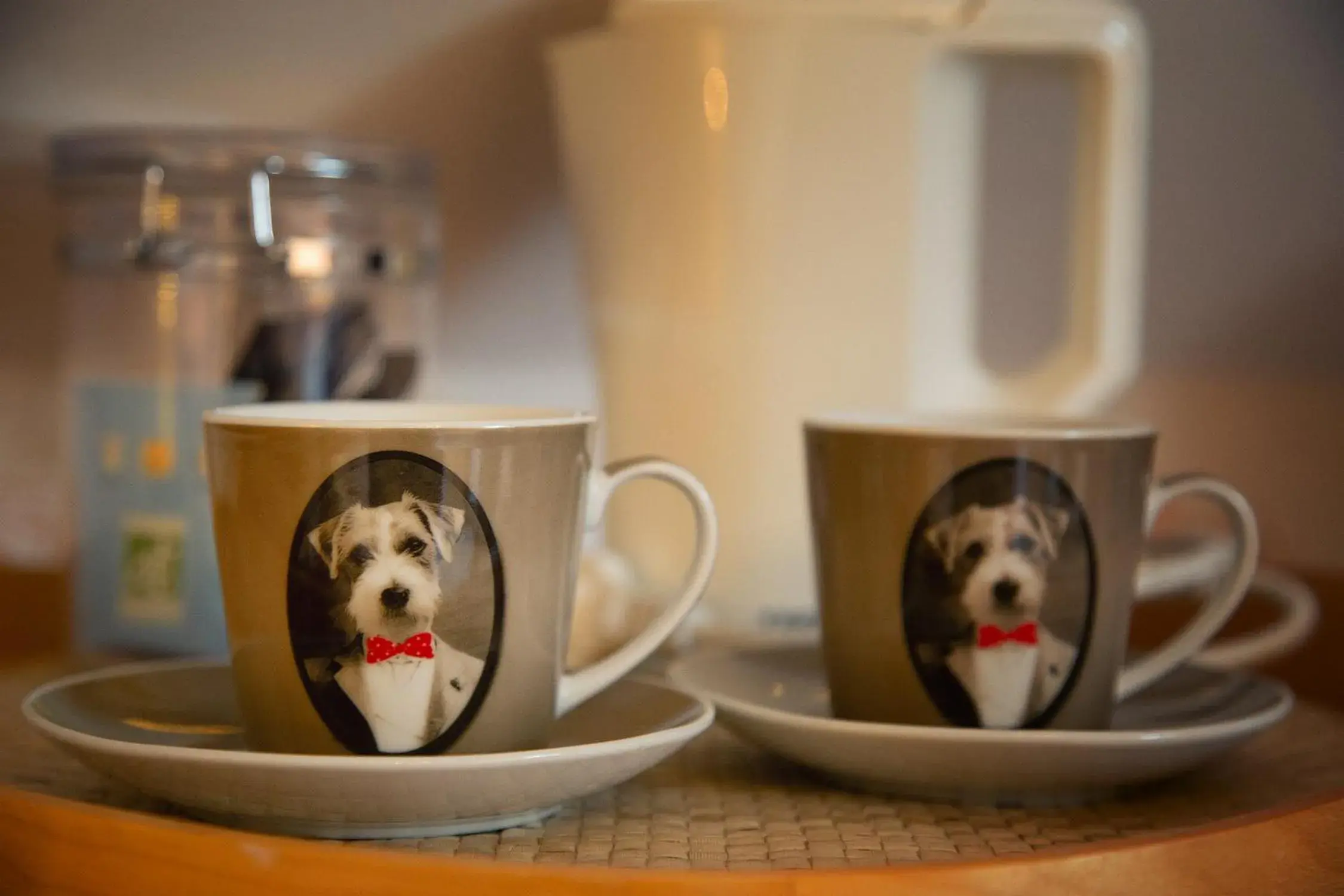 Single Room in Hôtel & Spa Chai De La Paleine Single Room in Hôtel & Spa Chai De La Paleine