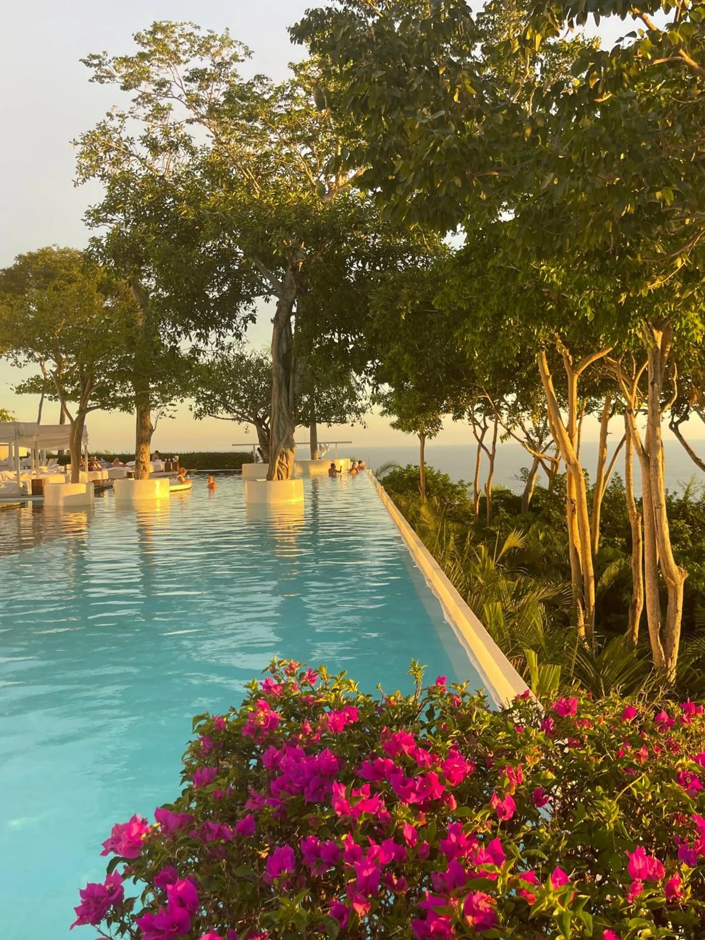 Natural landscape in Encanto Acapulco