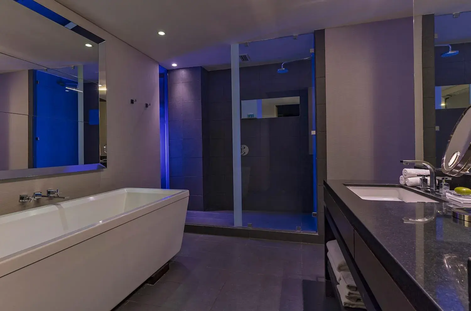 Wonderful, Guest room, 1 King, City view in W Santiago Wonderful, Guest room, 1 King, City view in W Santiago