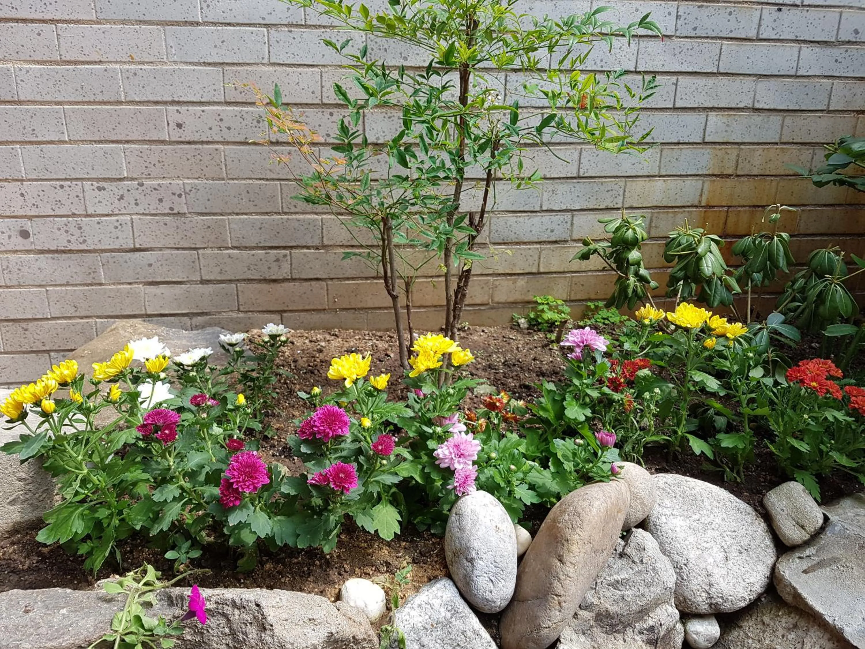 Property building in Dajayon Hanok Stay