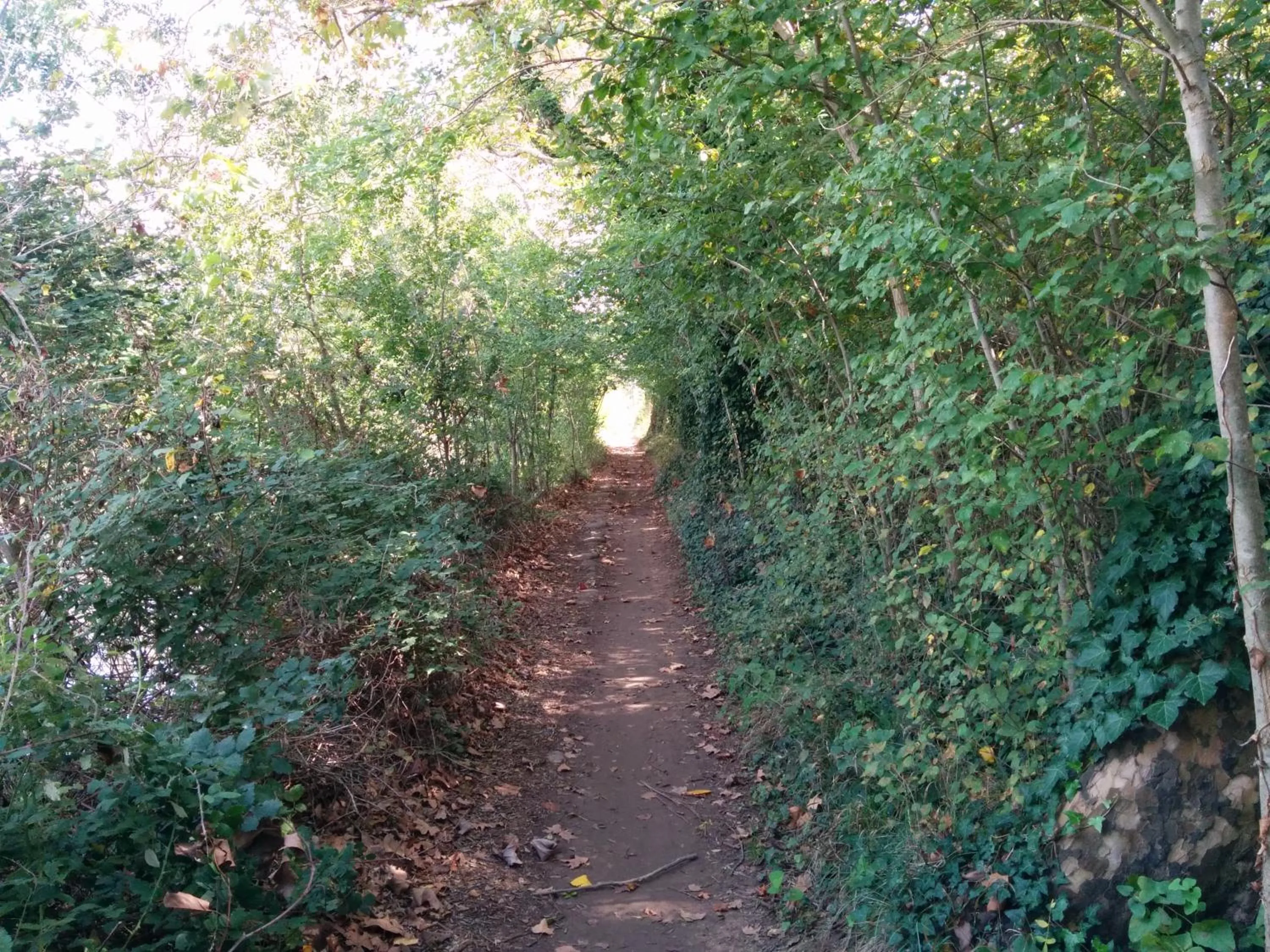 Other in Hotel Araur