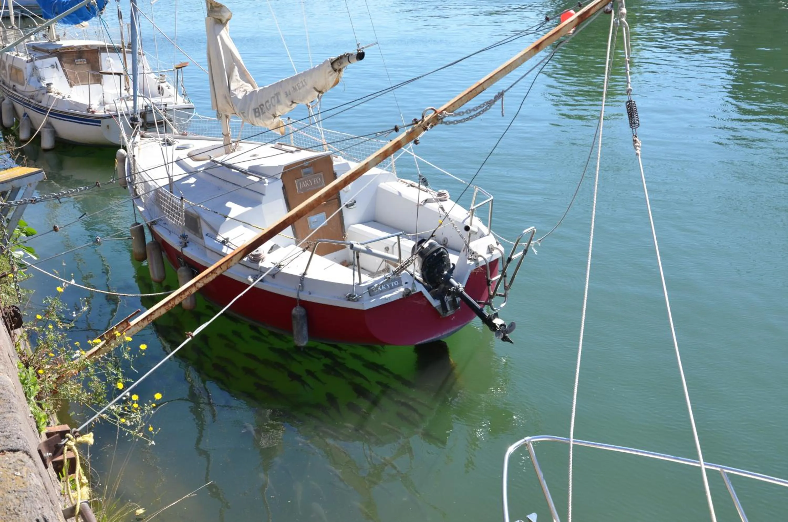 Neighbourhood in Hotel Araur