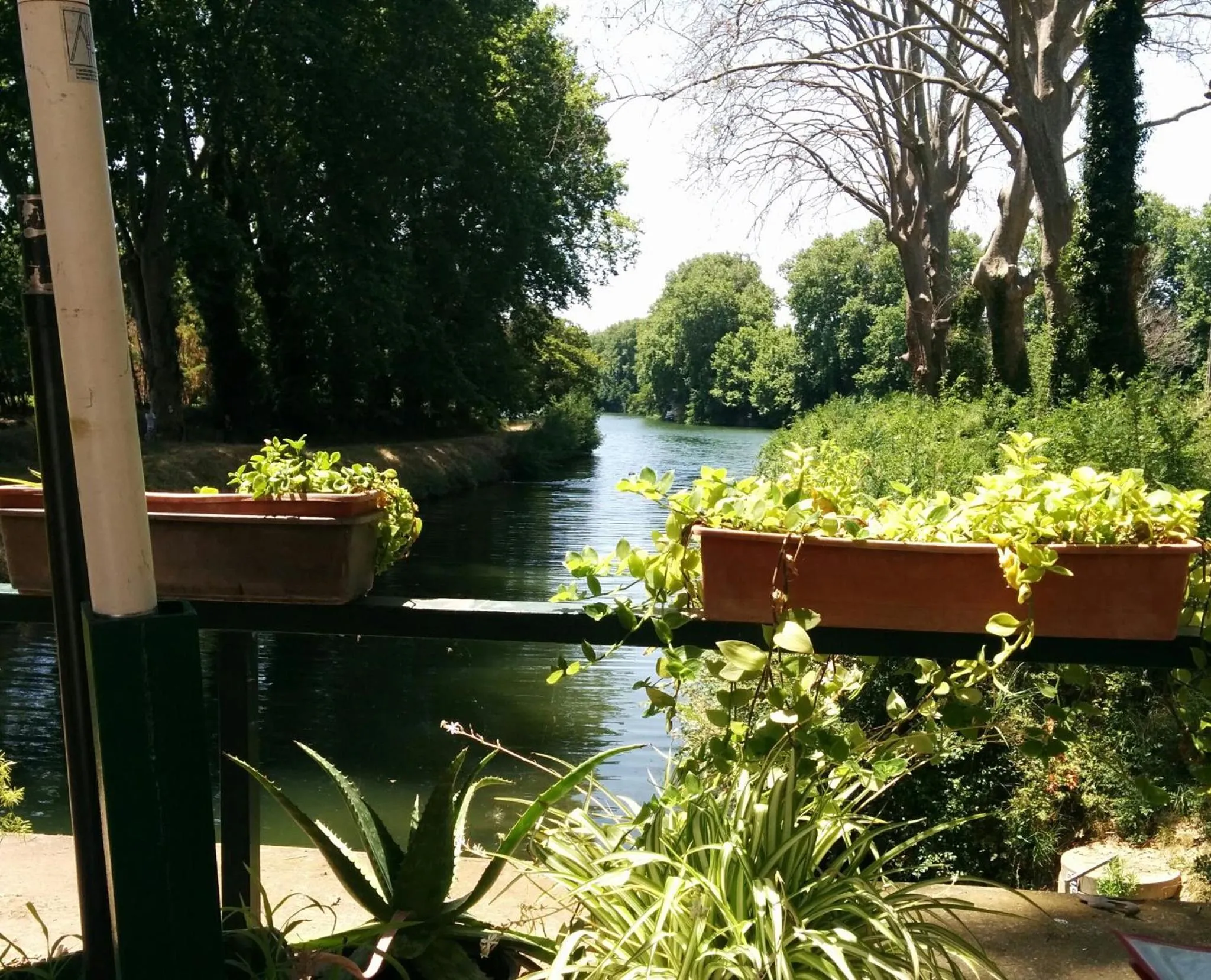 Photo of the whole room in Hotel Araur
