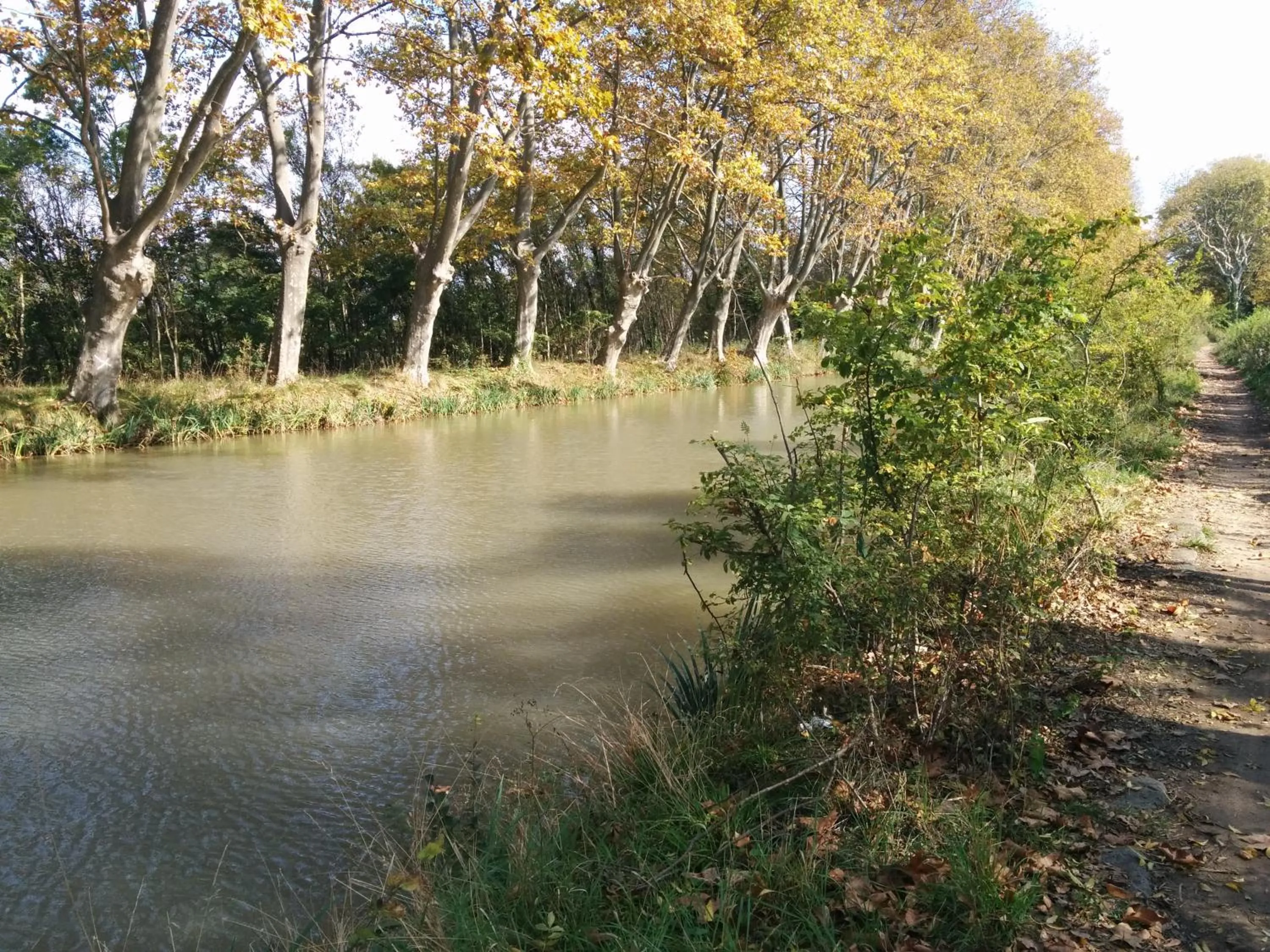 Other in Hotel Araur