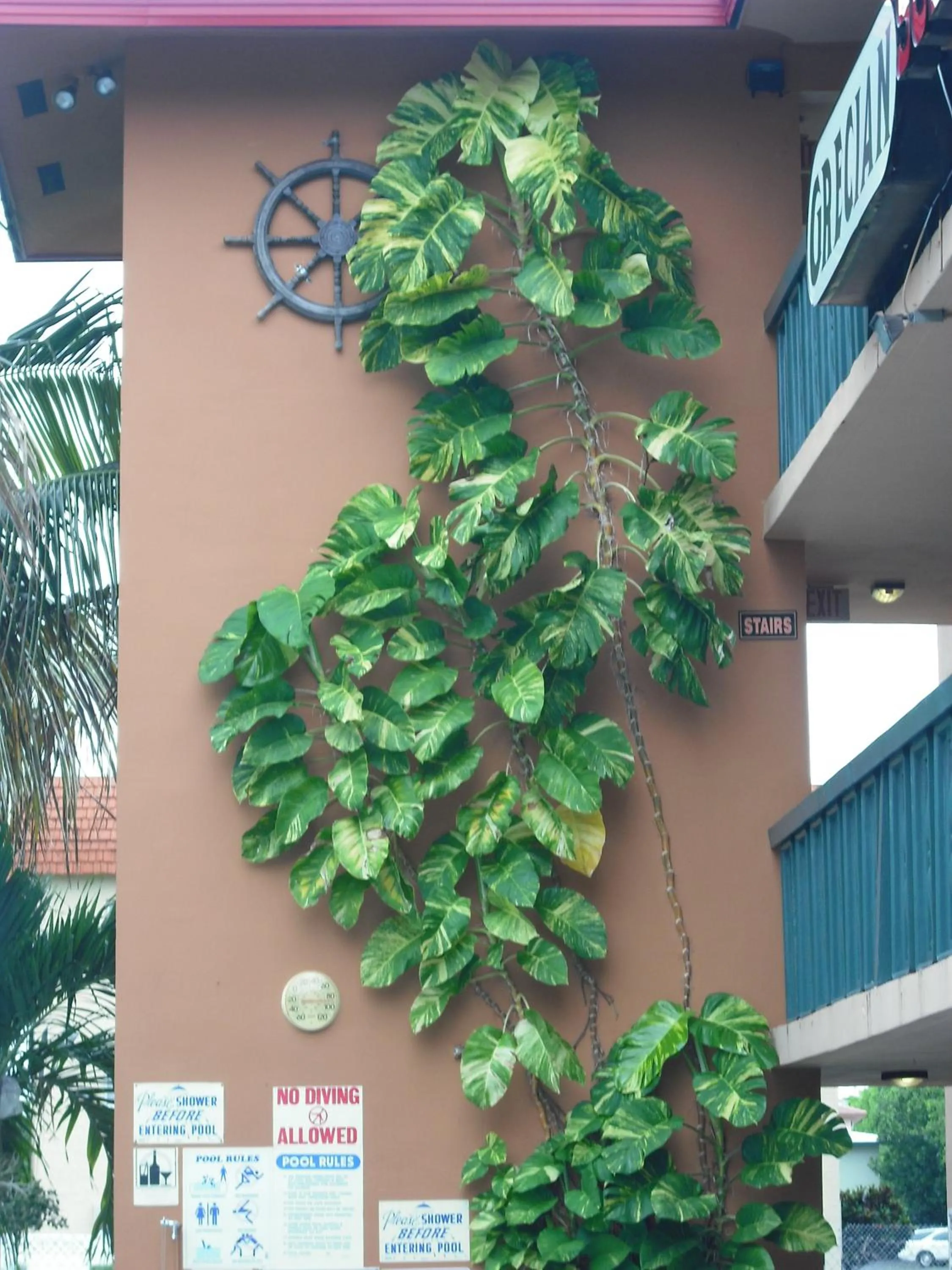 View (from property/room) in Ft. Lauderdale Beach Resort Hotel