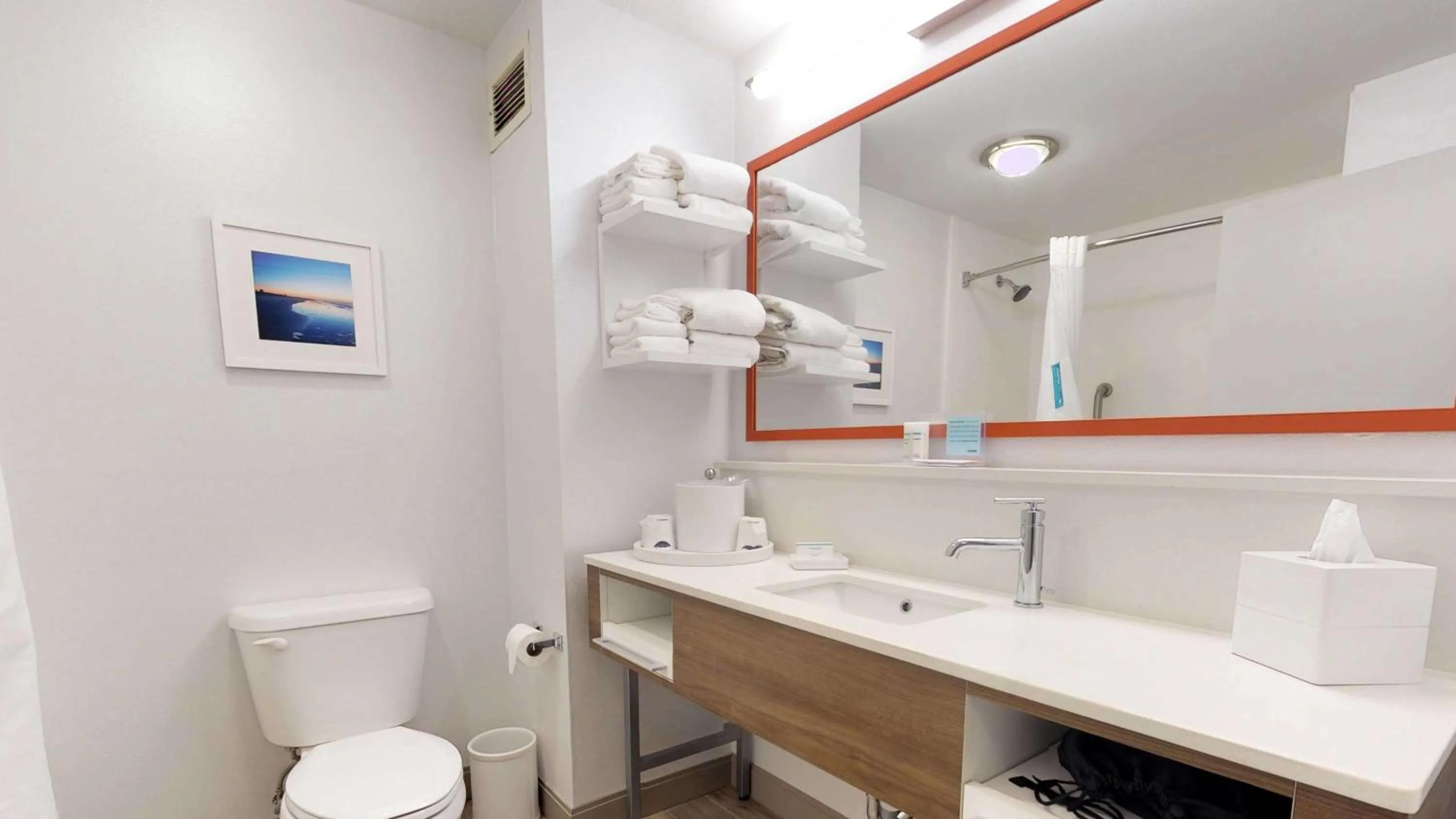 Bathroom in Hampton Inn St. Simons Island