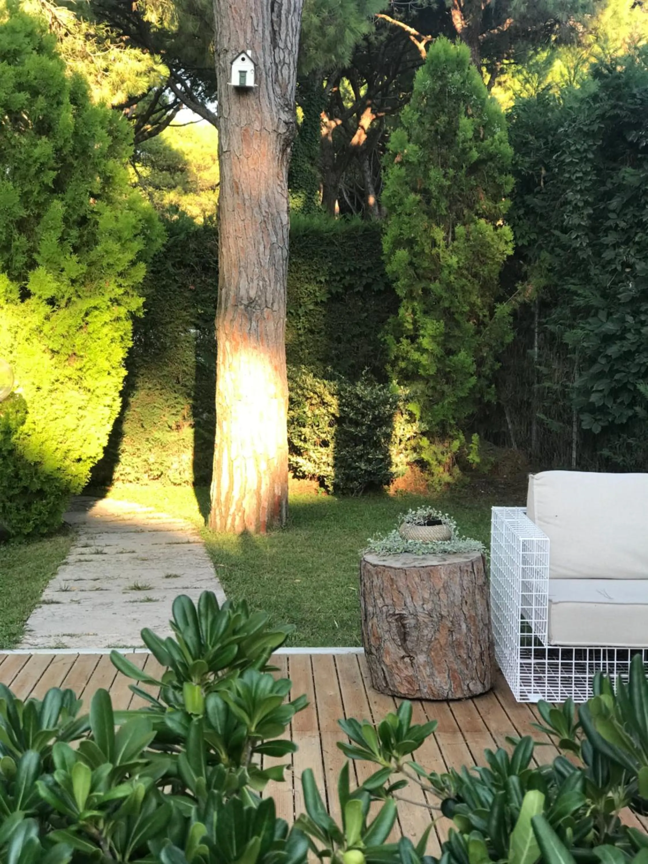 Activities in Harvey Suites Hotel & Residence