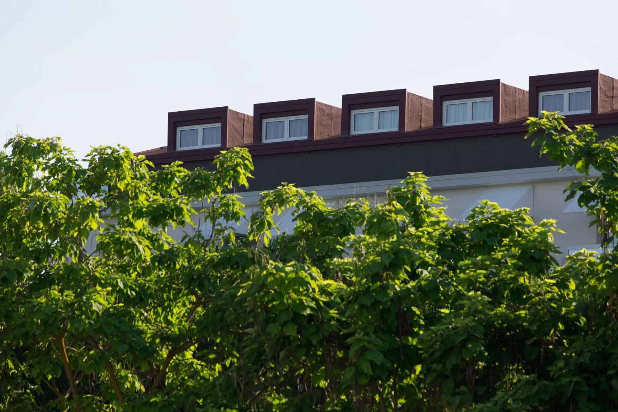 Facade/entrance in Harvey Suites Hotel & Residence
