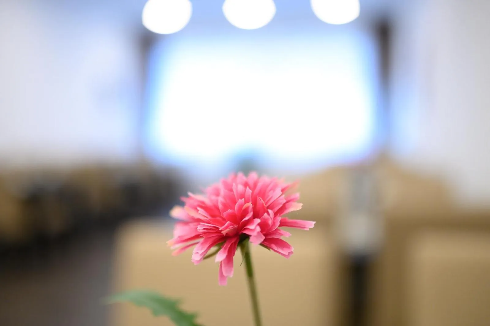 Buffet breakfast in Hotel Luna