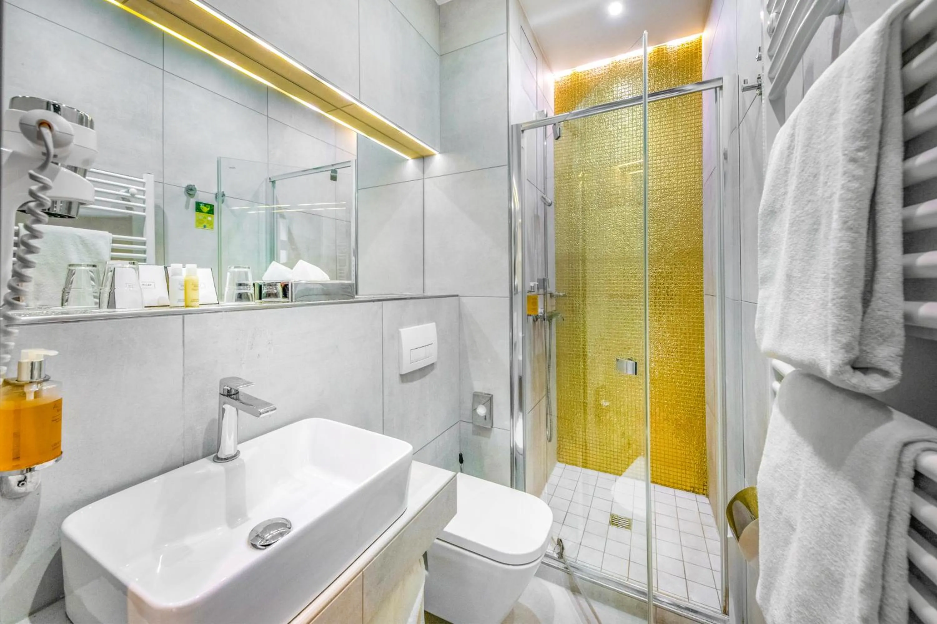 Shower in Hotel President