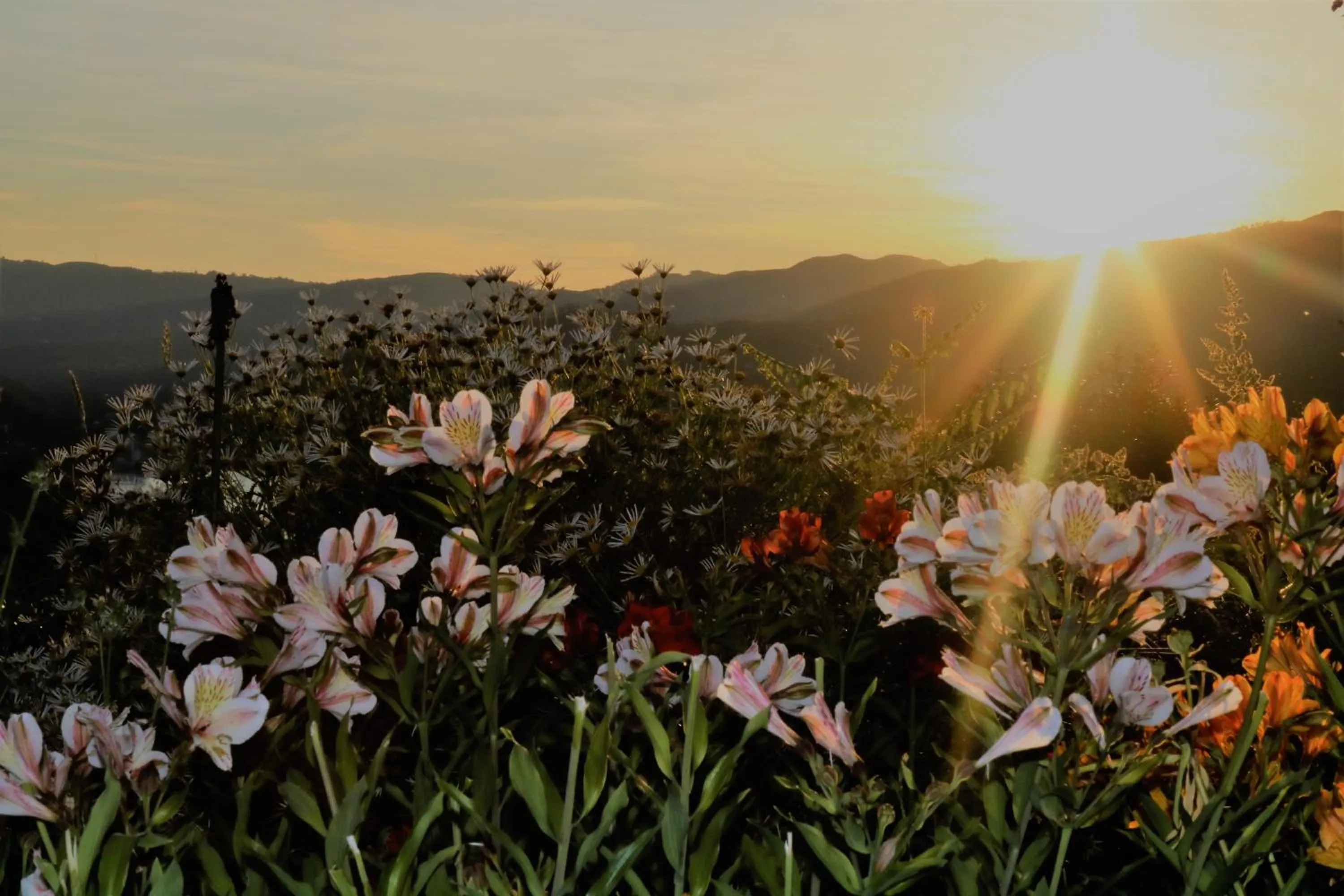 Off site in Quinta do Bento