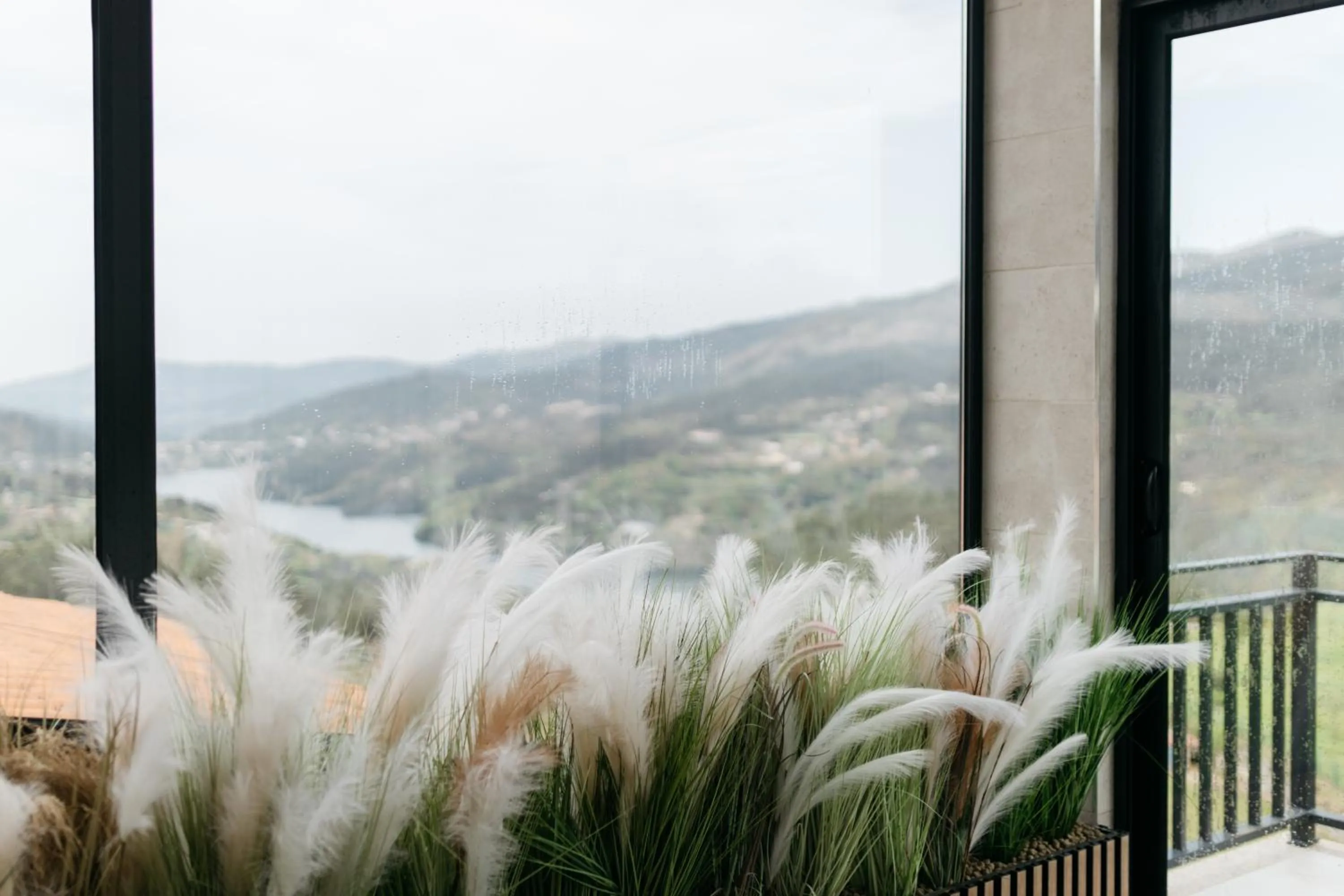 Natural landscape in Quinta do Bento