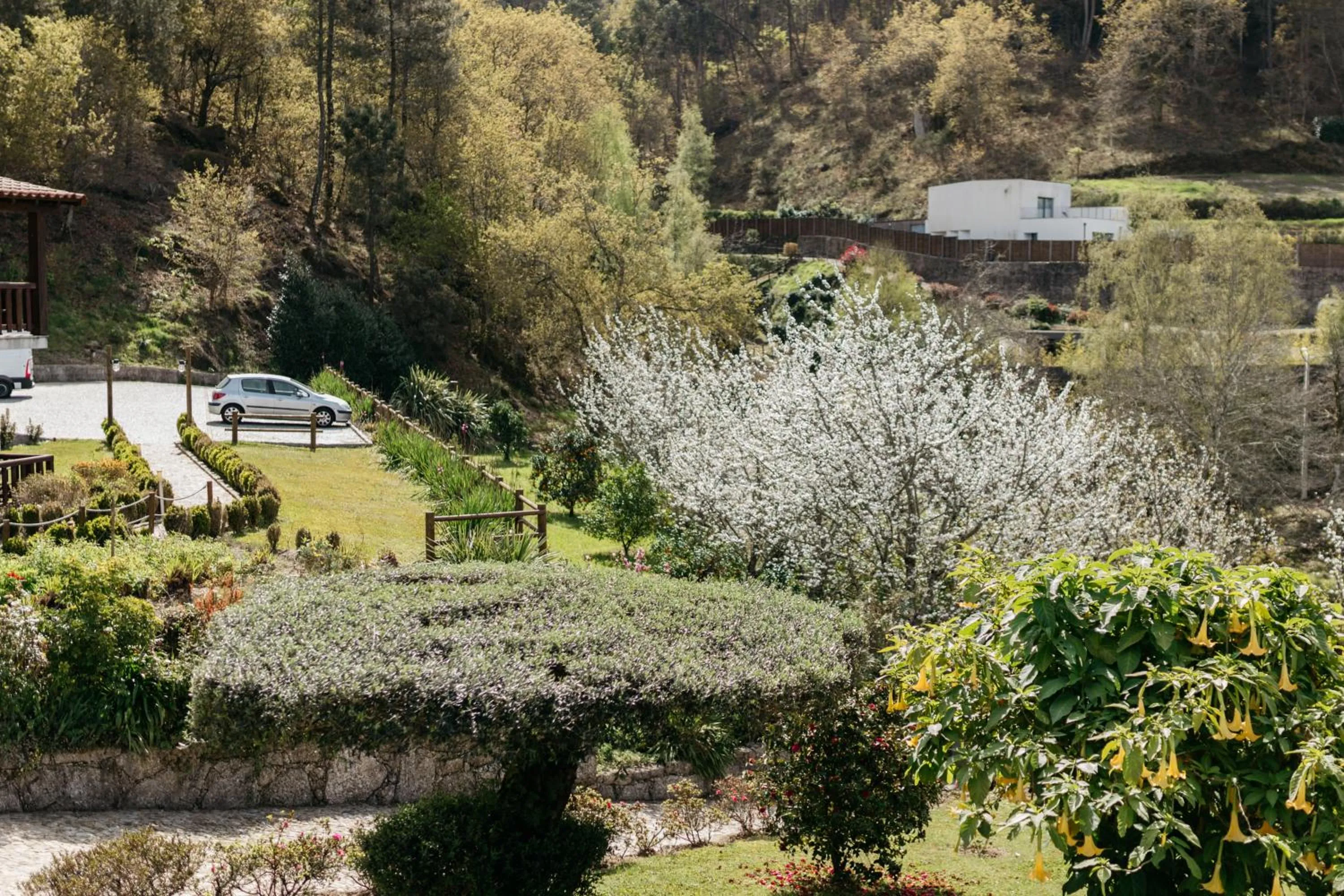 Spring in Quinta do Bento