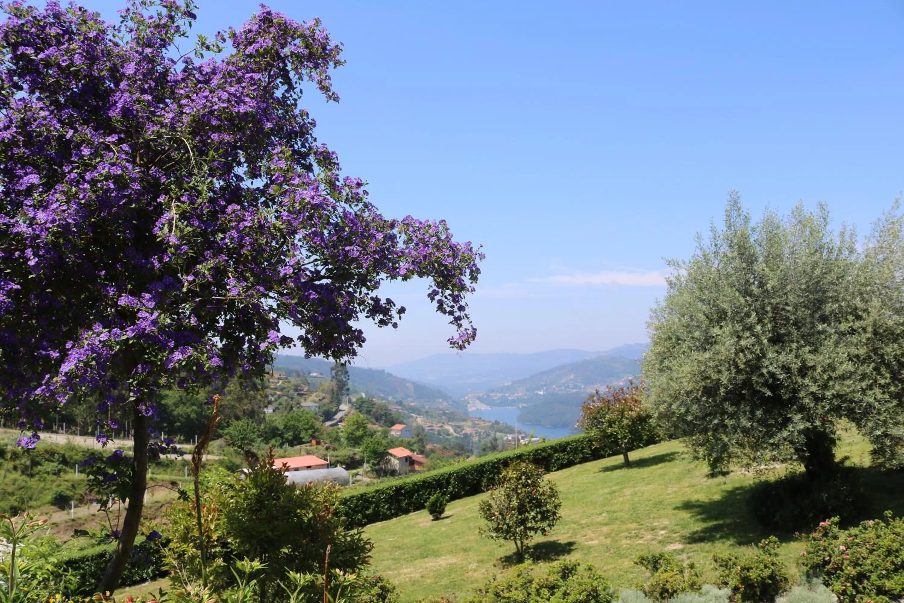 Garden in Quinta do Bento