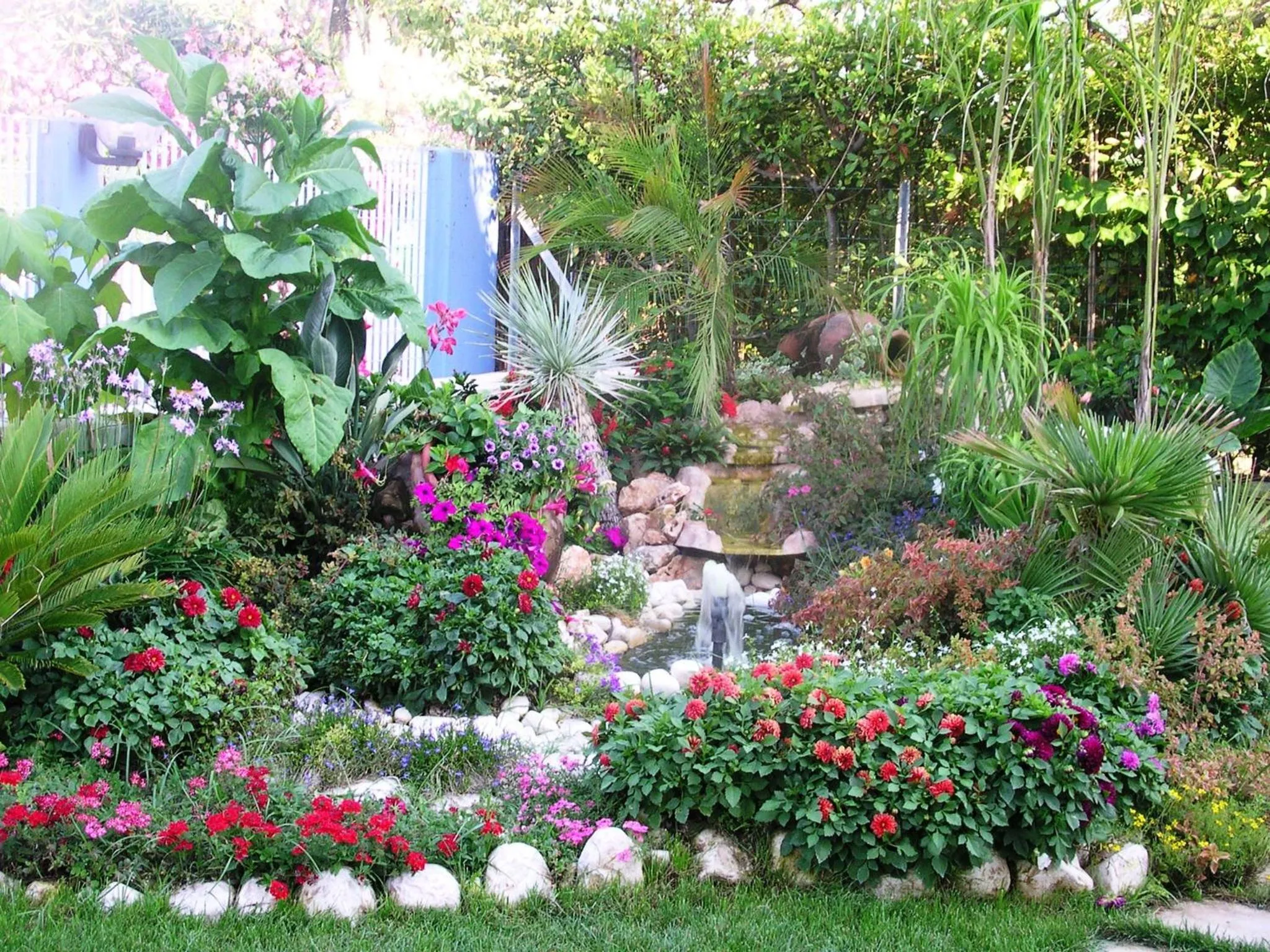 Garden in Hotel Le Palme