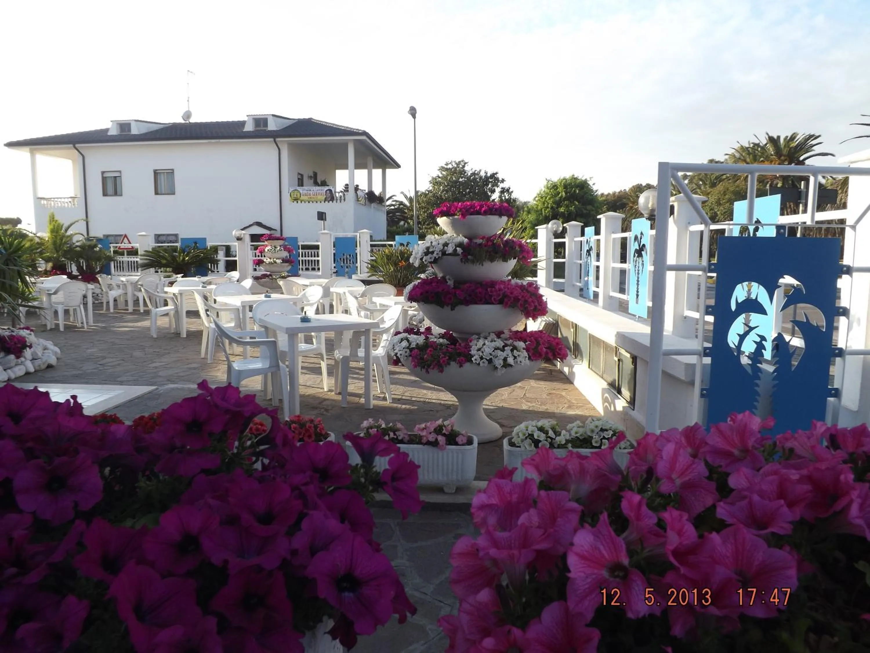 Facade/entrance in Hotel Le Palme