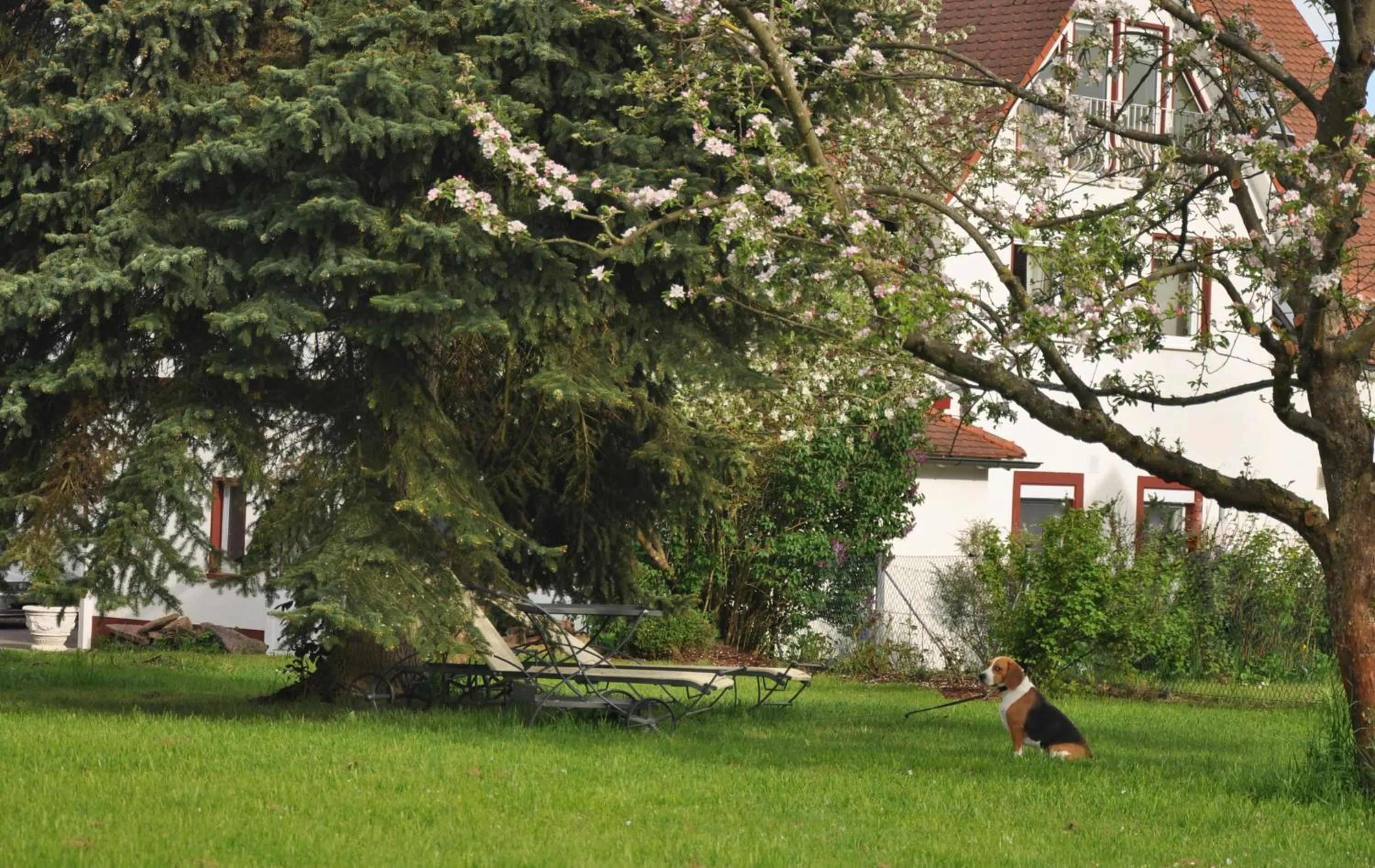 Day in Häuser der Villa Italia