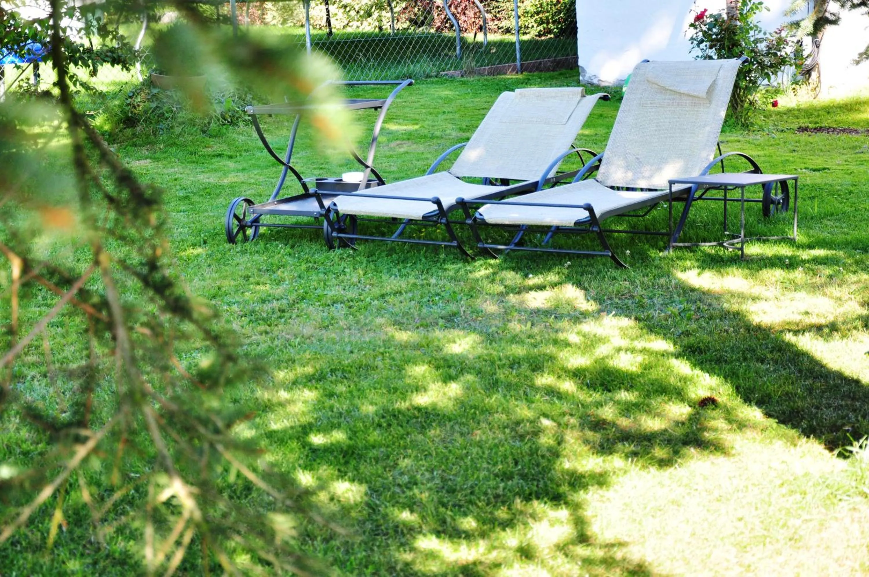 Garden in Häuser der Villa Italia