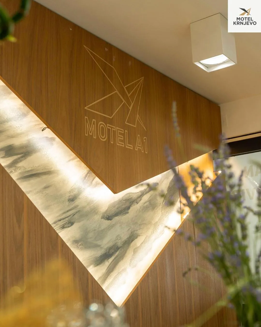 Lobby or reception in Motel Krnjevo