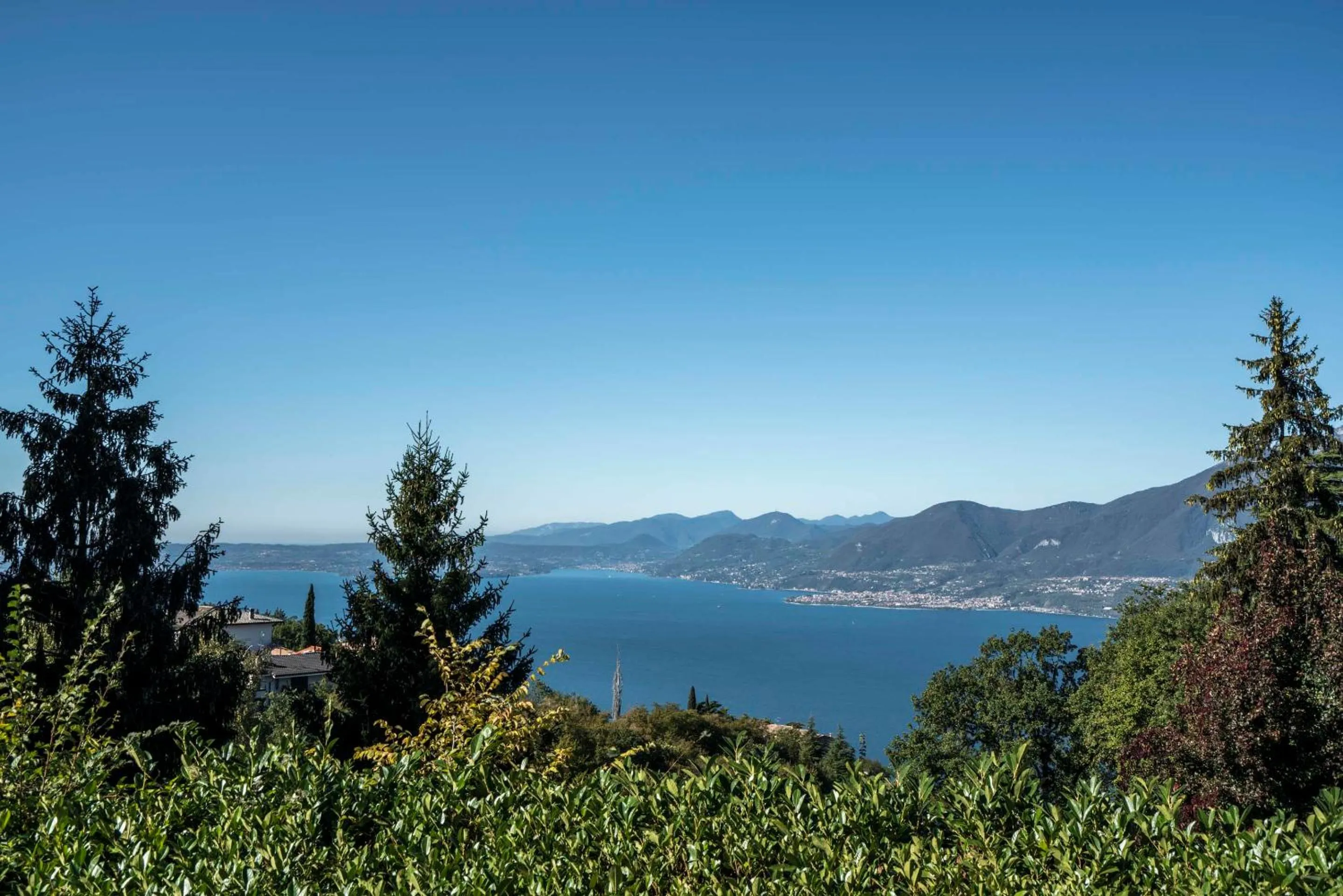 Natural landscape in Hotel Bellavista