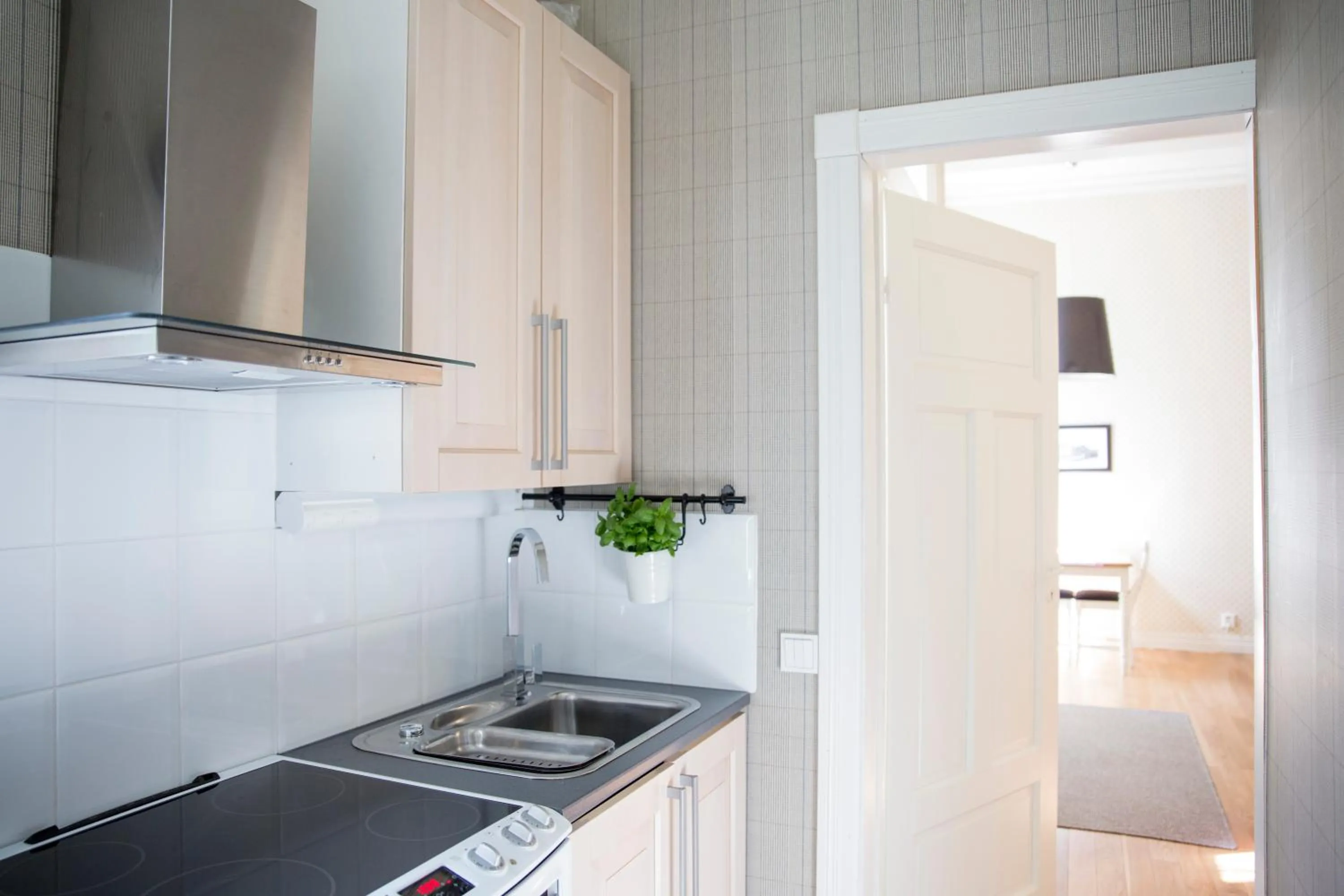 Kitchen or kitchenette in Hotel Epoque & Apartments