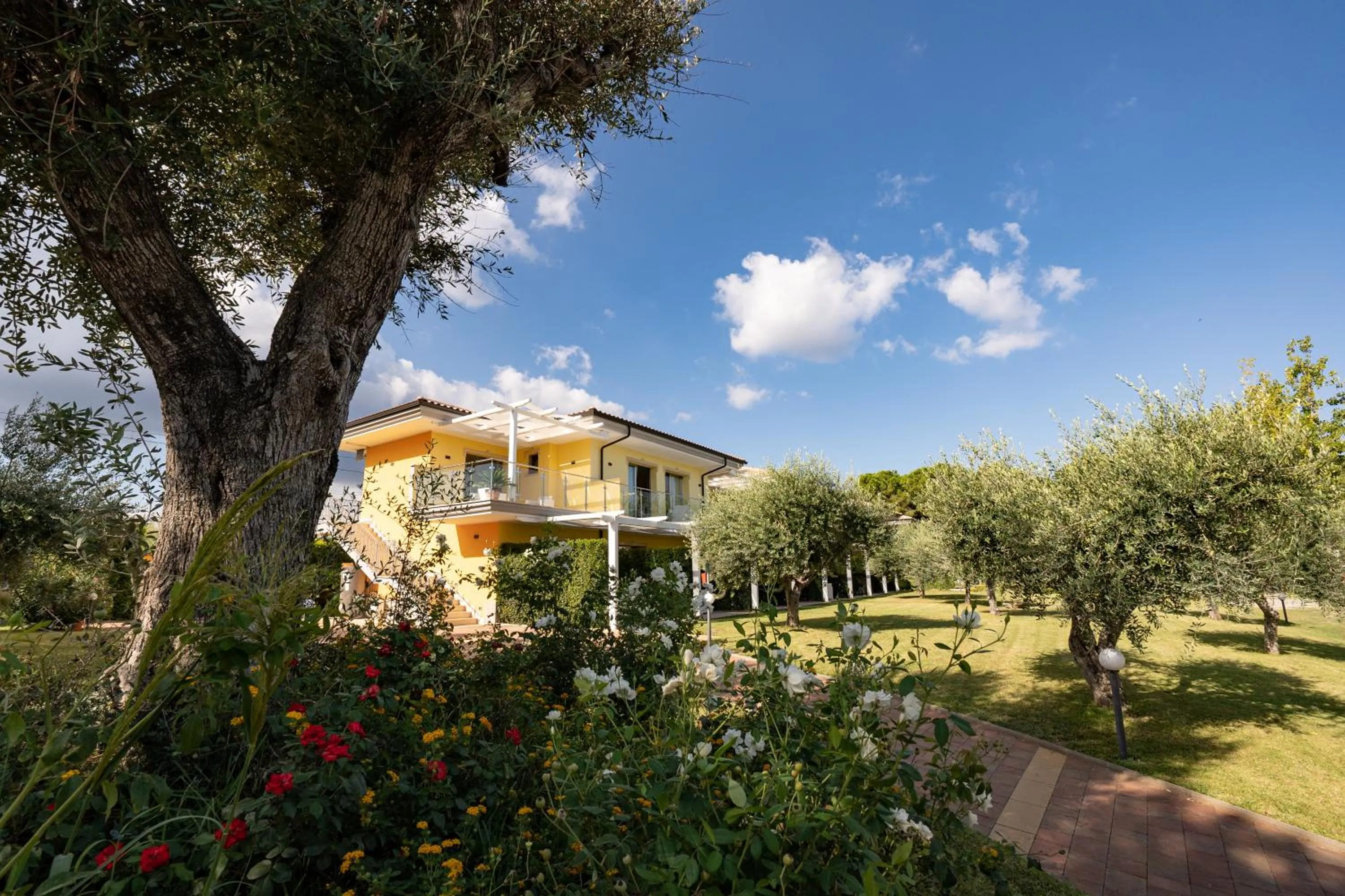 Garden in Hotel Baia Di Trainiti