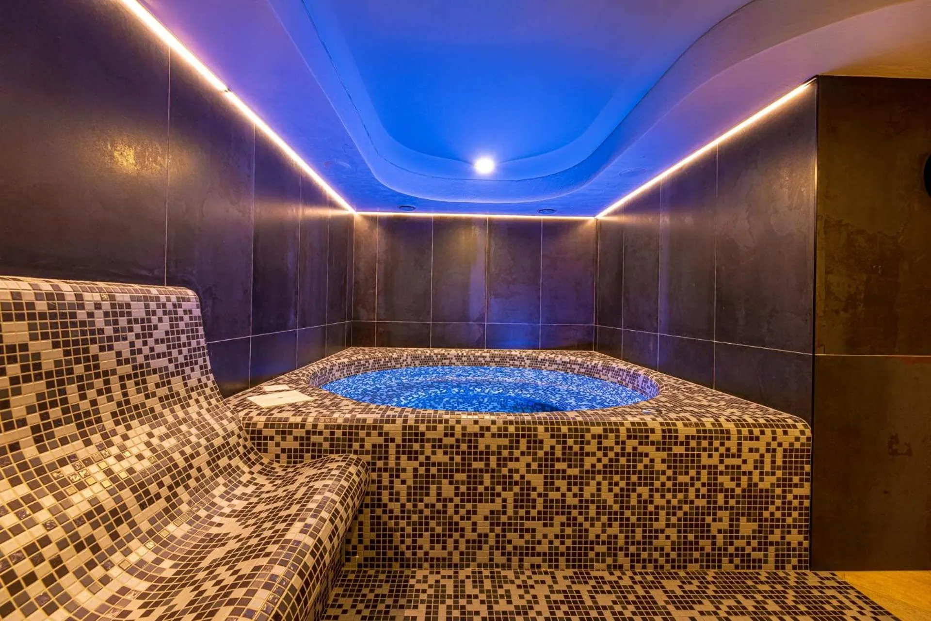 Swimming pool in Nidus