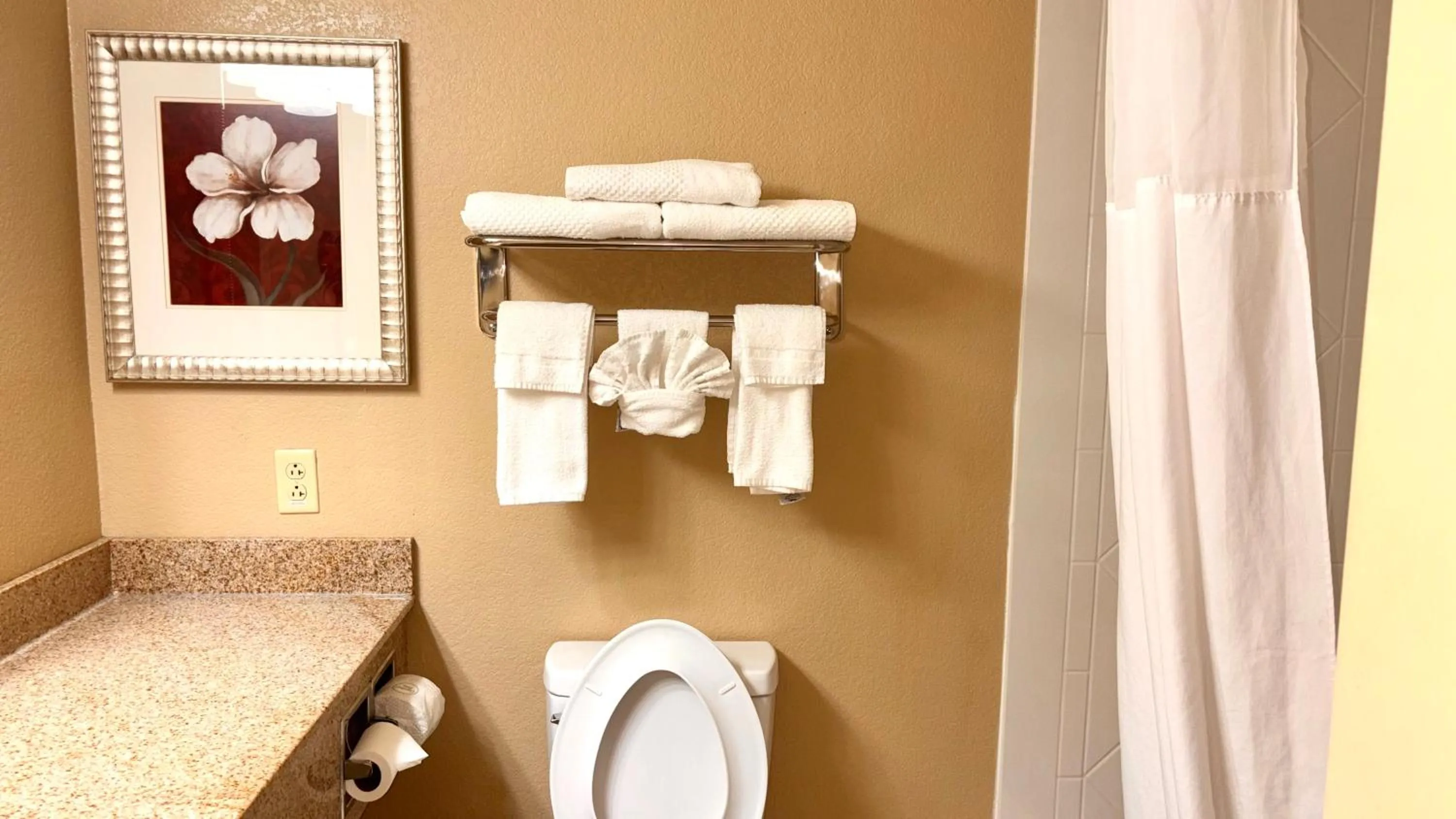 Bathroom in Country Inn & Suites by Radisson, Conway, AR