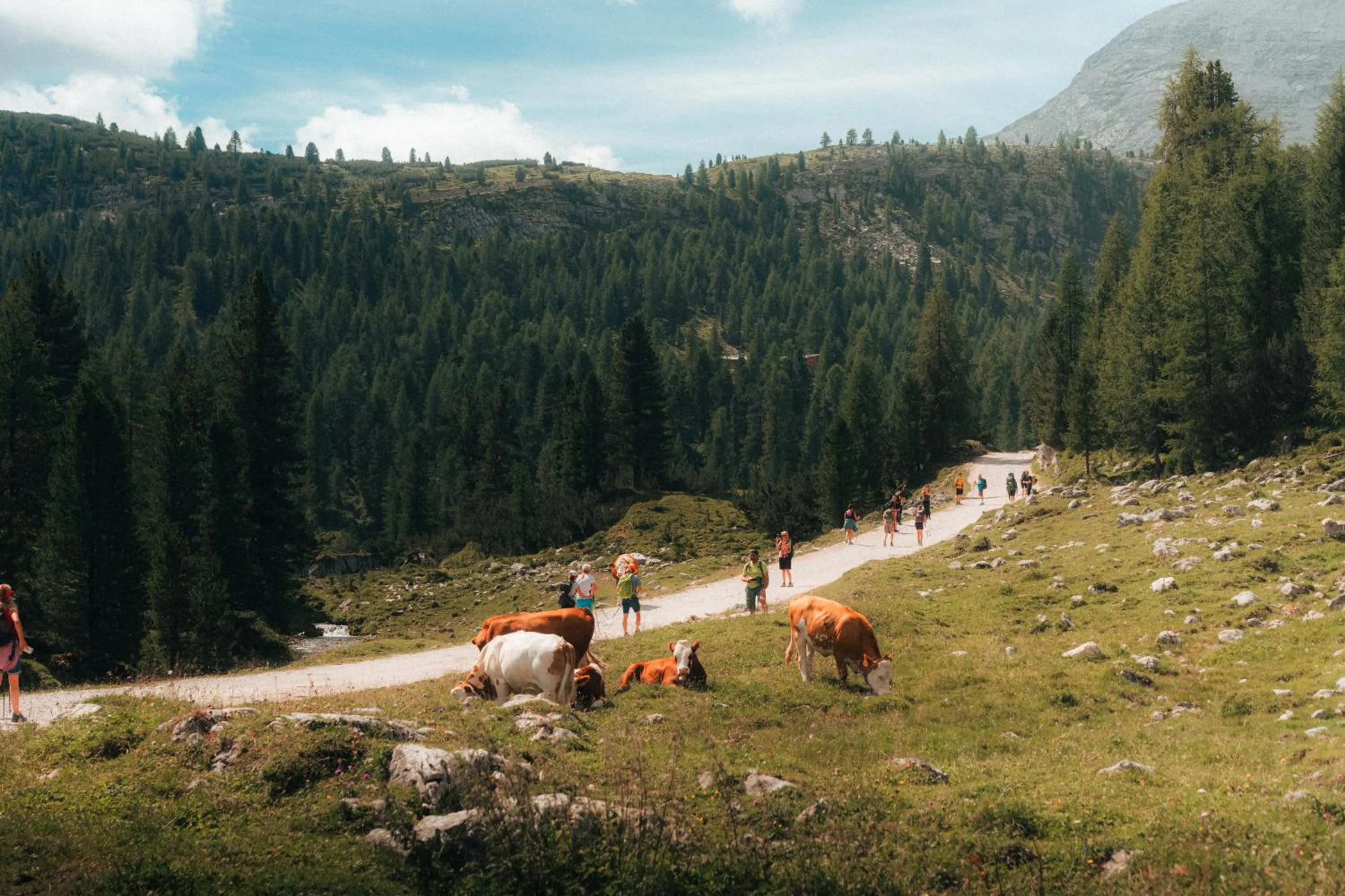Hiking in Bella Vista Hotel Emma