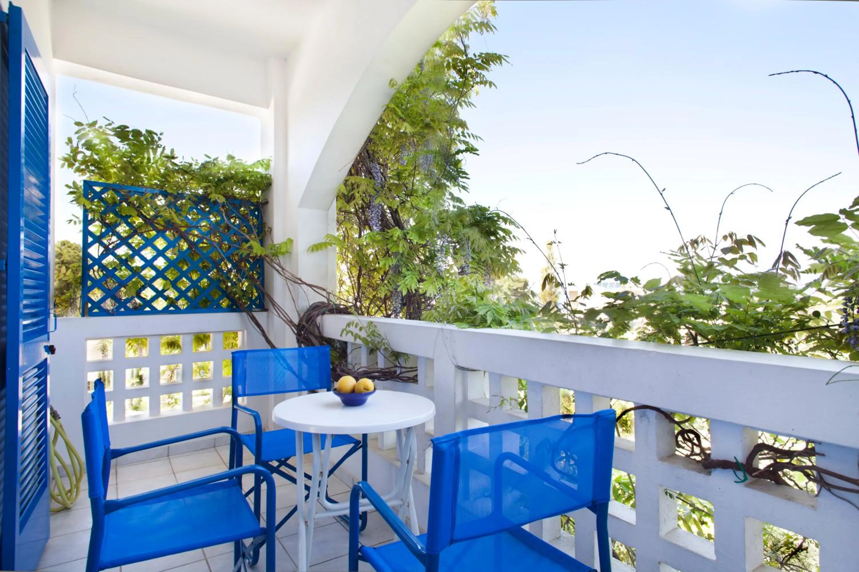 Balcony/Terrace in Daphne's Club Hotel Apartments