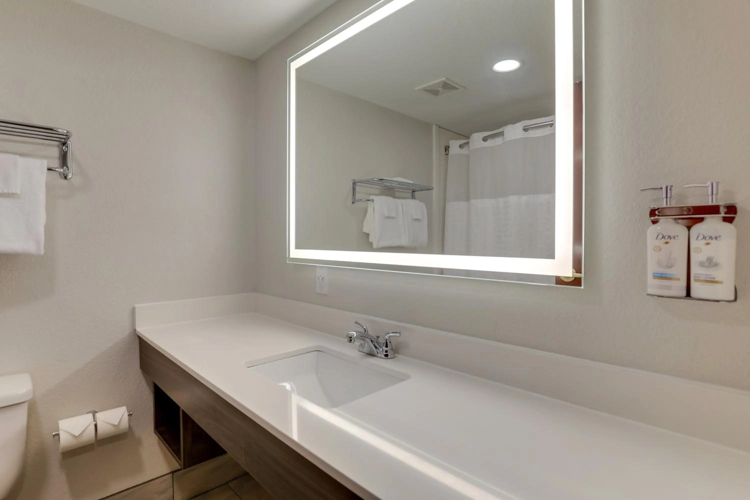 Photo of the whole room in Holiday Inn Express Lexington Southwest Nicholasville by IHG