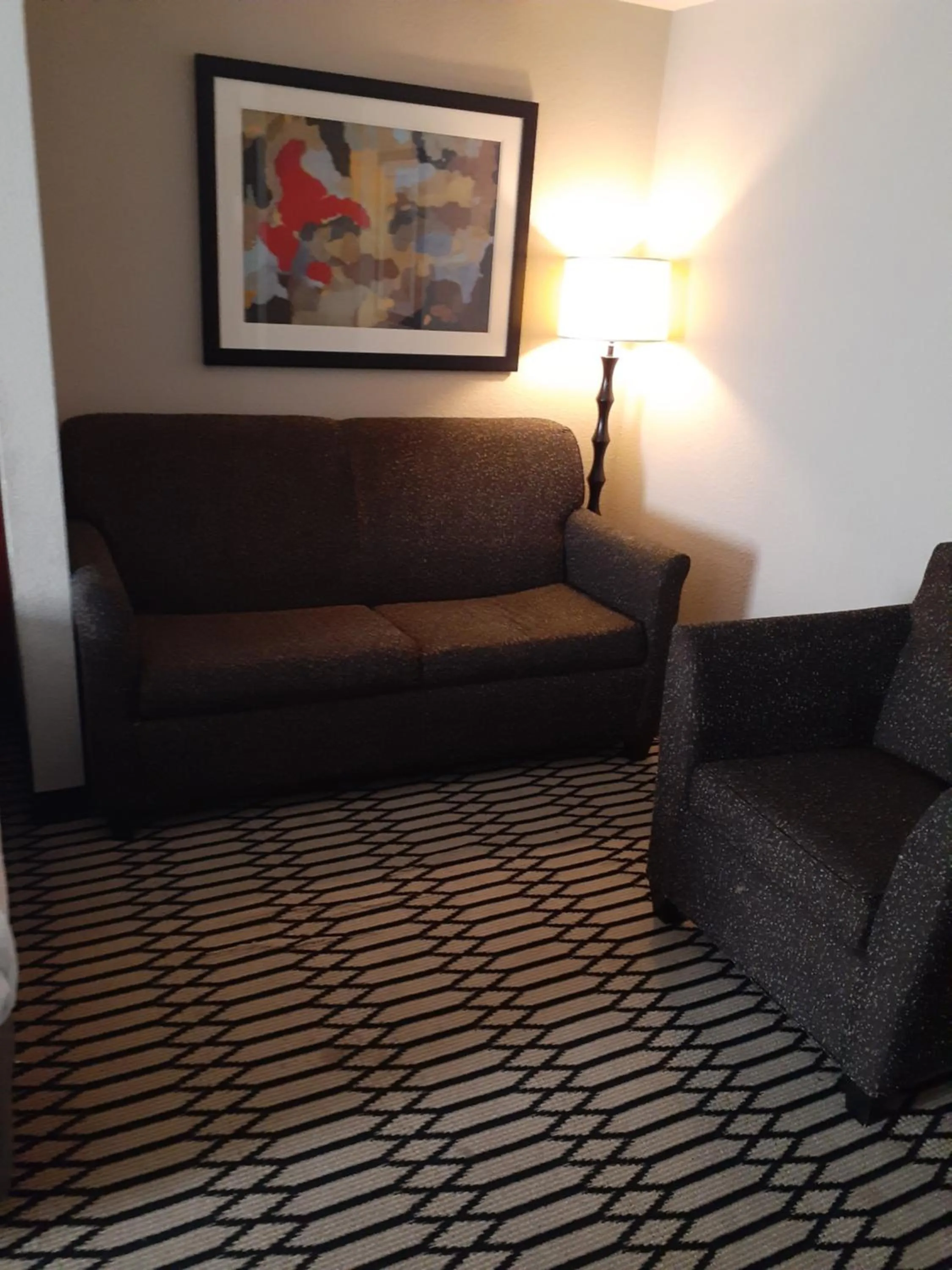 Living room in Independent SPHC BWI Suites