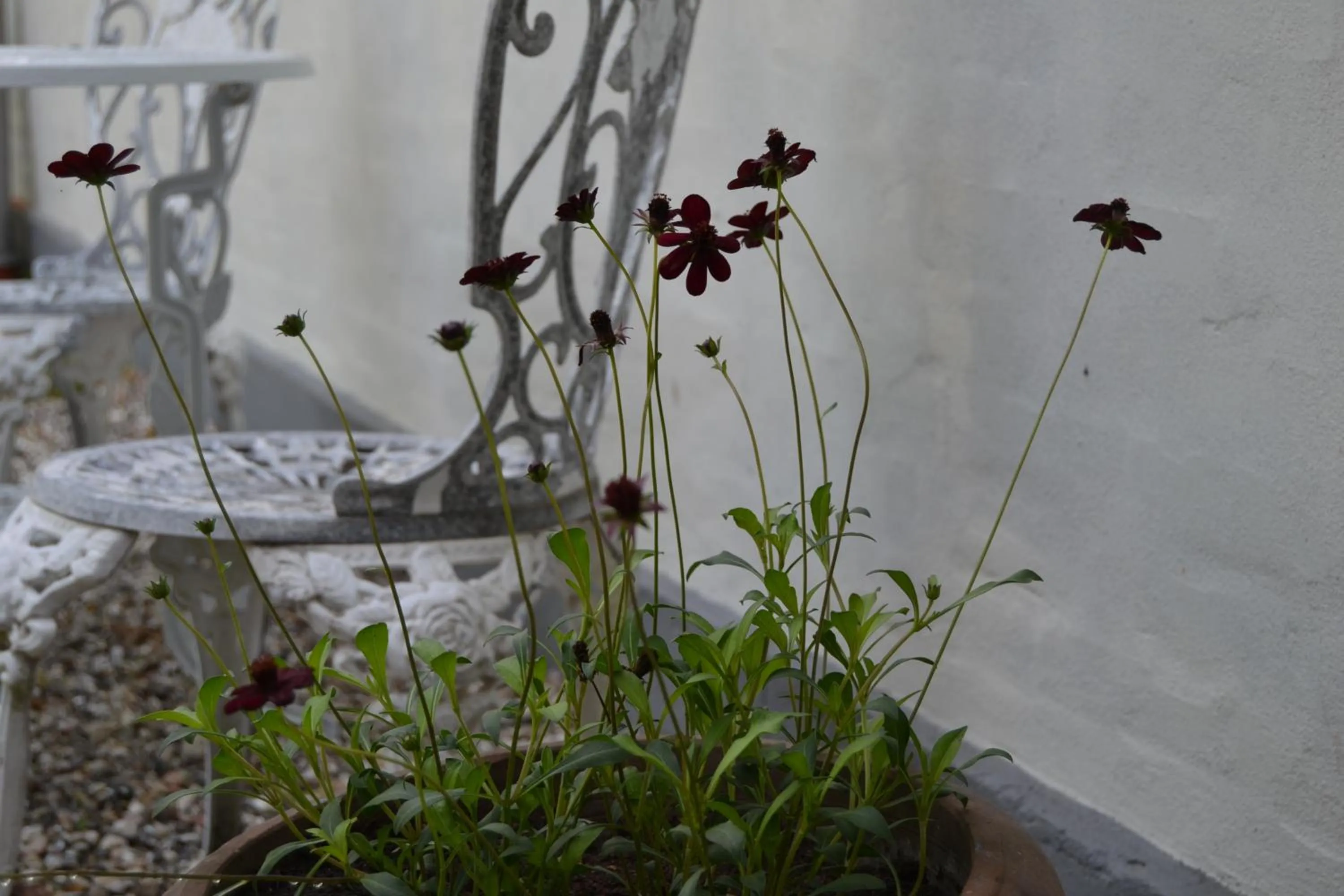 Decorative detail in Vibes bed&breakfast