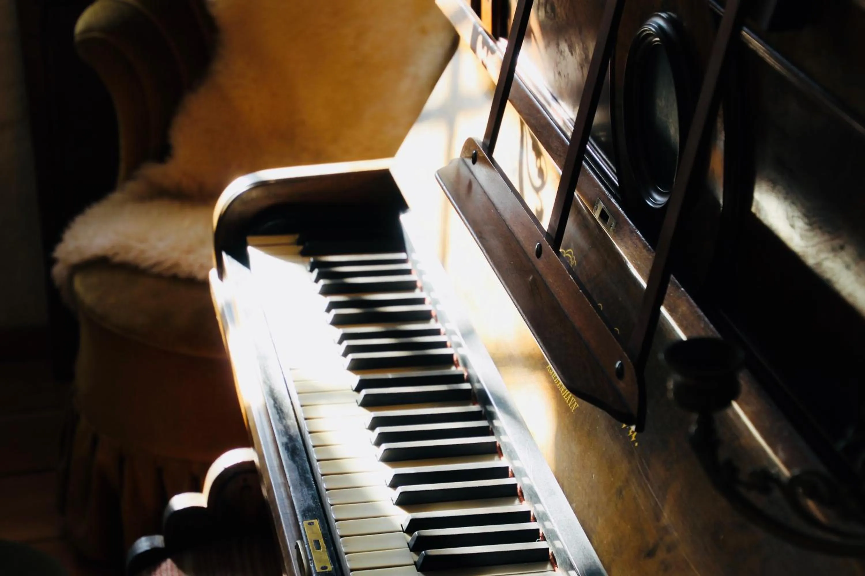 Decorative detail in Vibes bed&breakfast