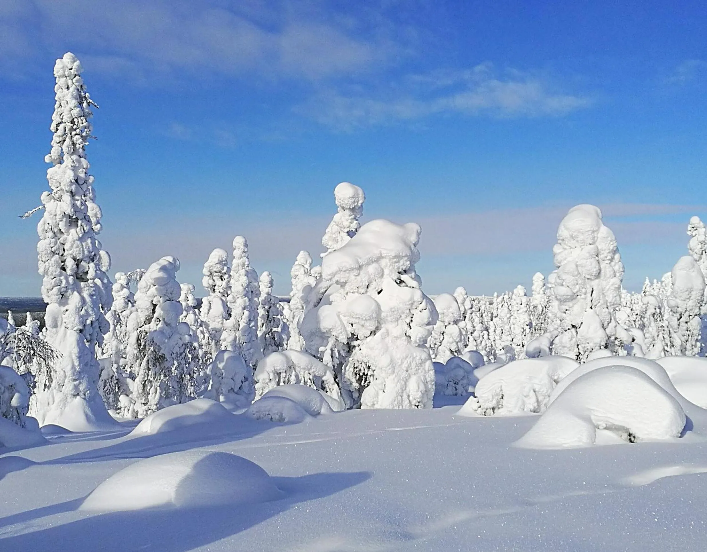 Neighbourhood in Hotel Seita