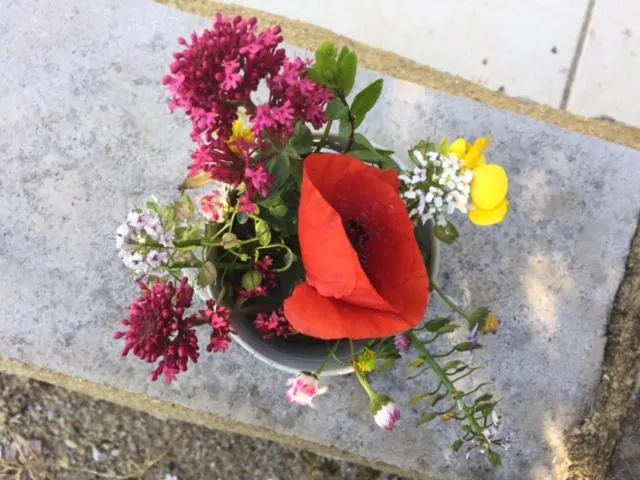 Property building in Bergerie de Lagarrigue