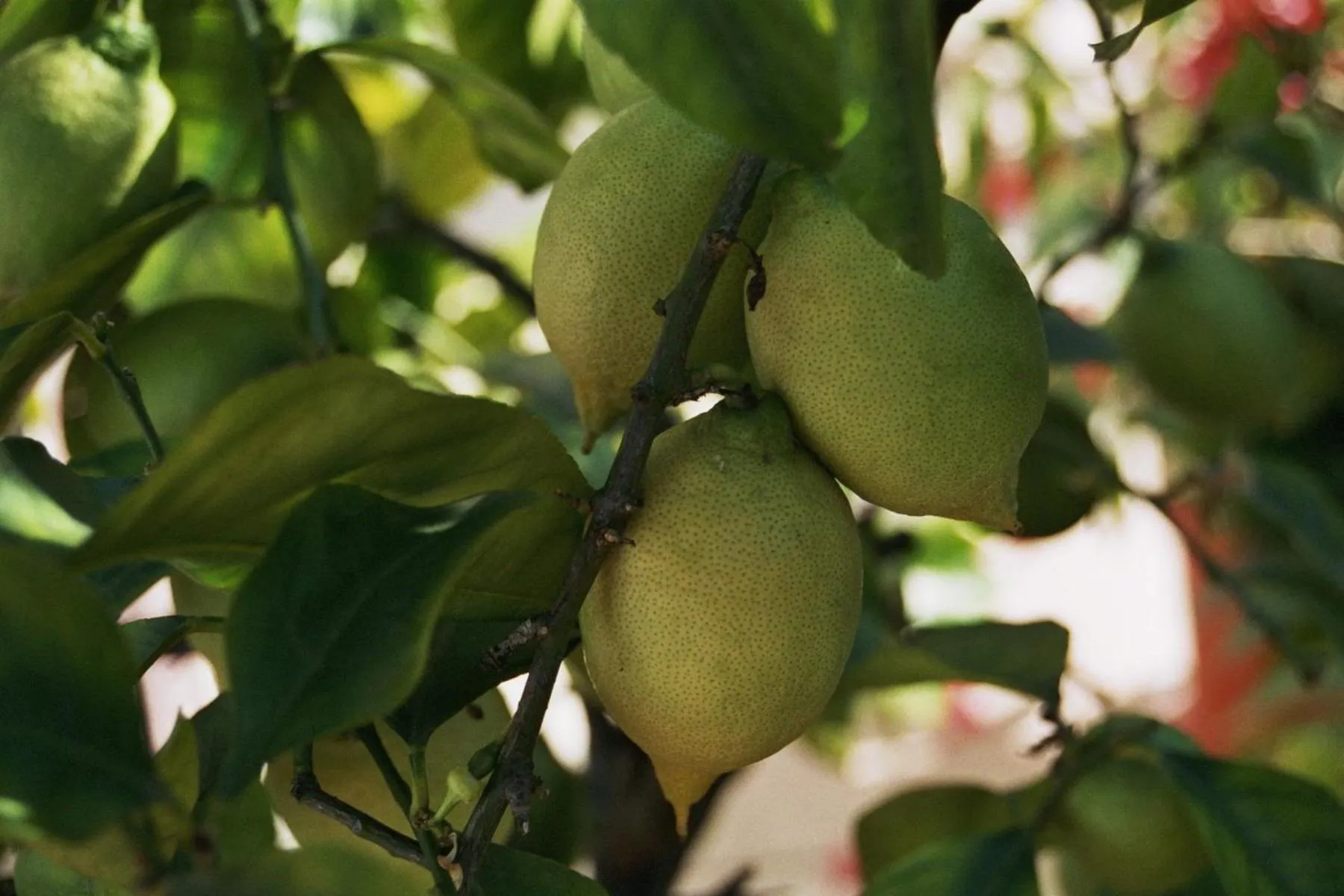 Other in Hotel Schmid