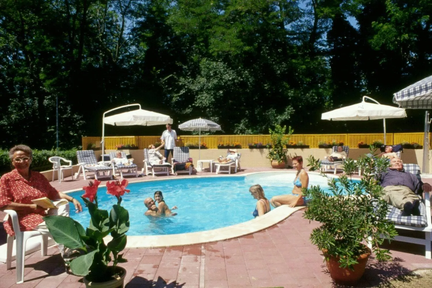Swimming pool in Hotel Schmid