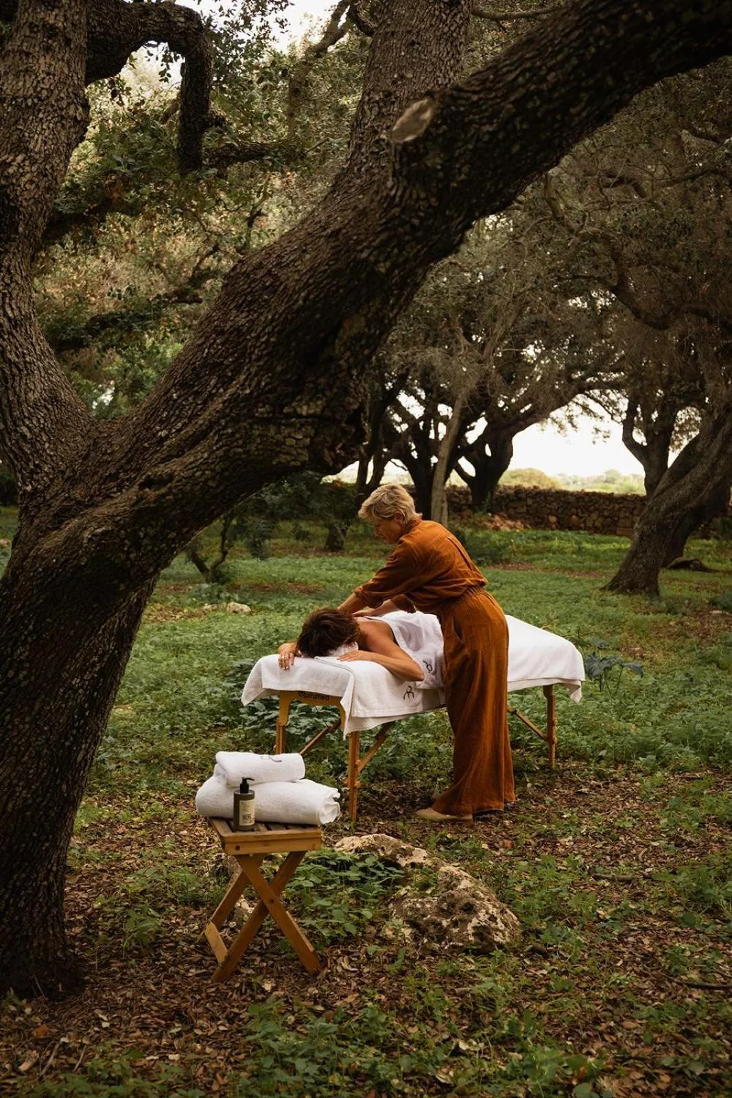 Natural landscape in Hotel Rural Sant Ignasi