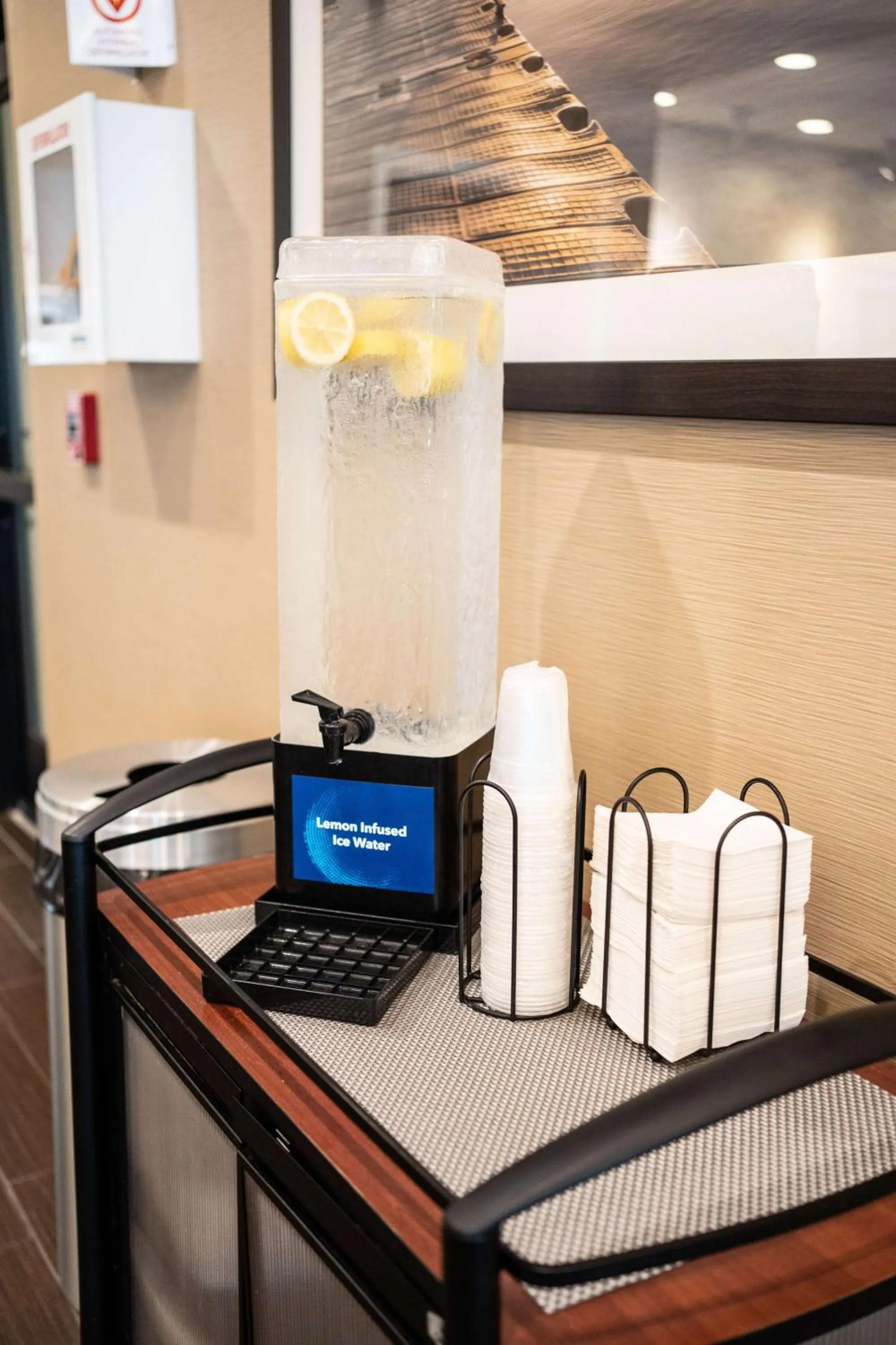 Lobby or reception in Comfort Suites University Brookings