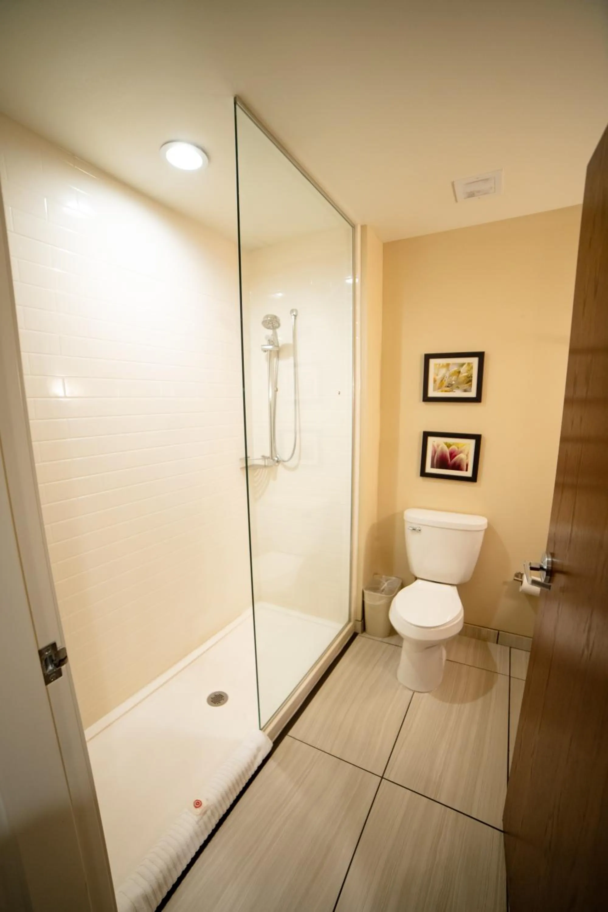 Shower in Comfort Suites University Brookings