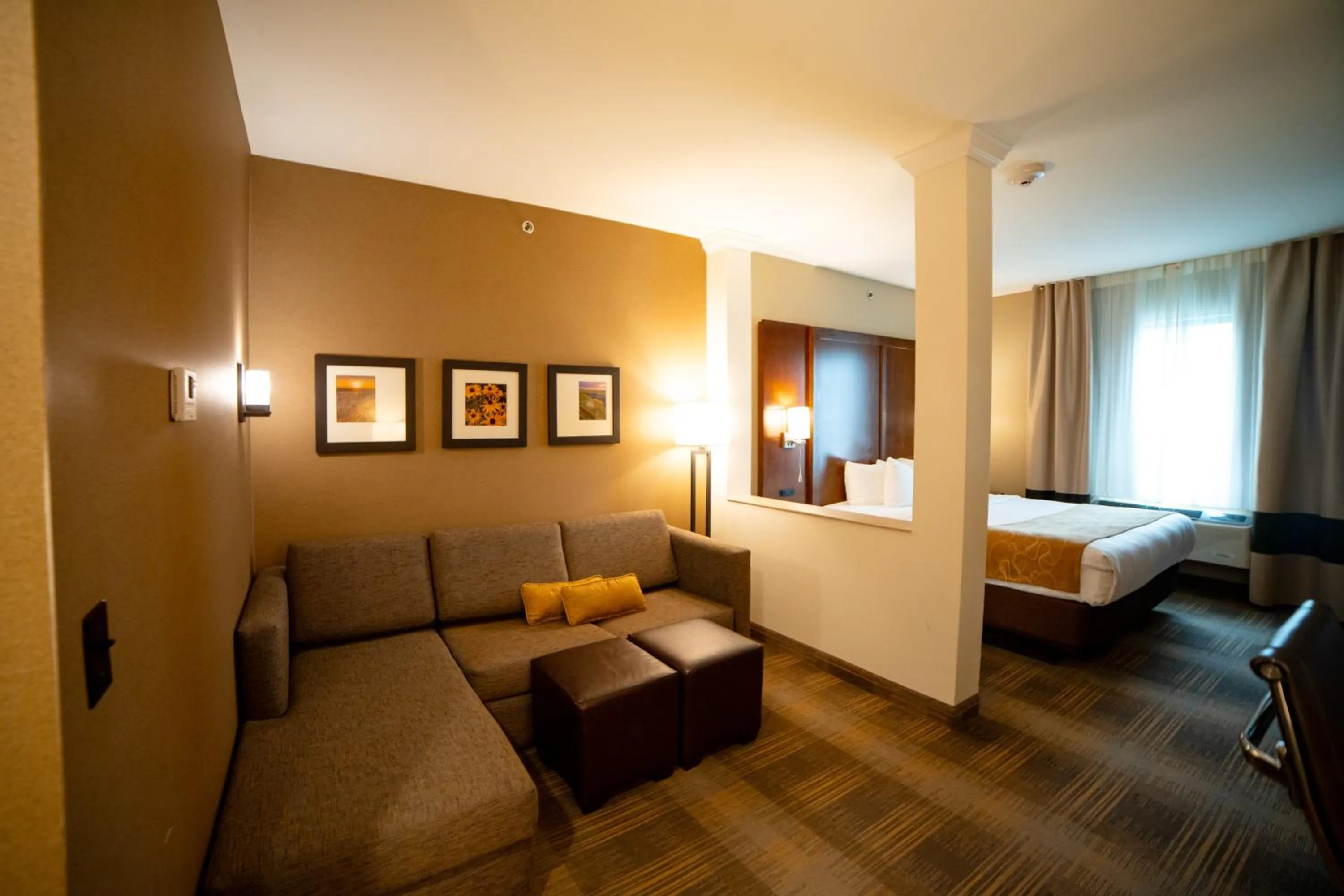 Living room, Bed in Comfort Suites University Brookings