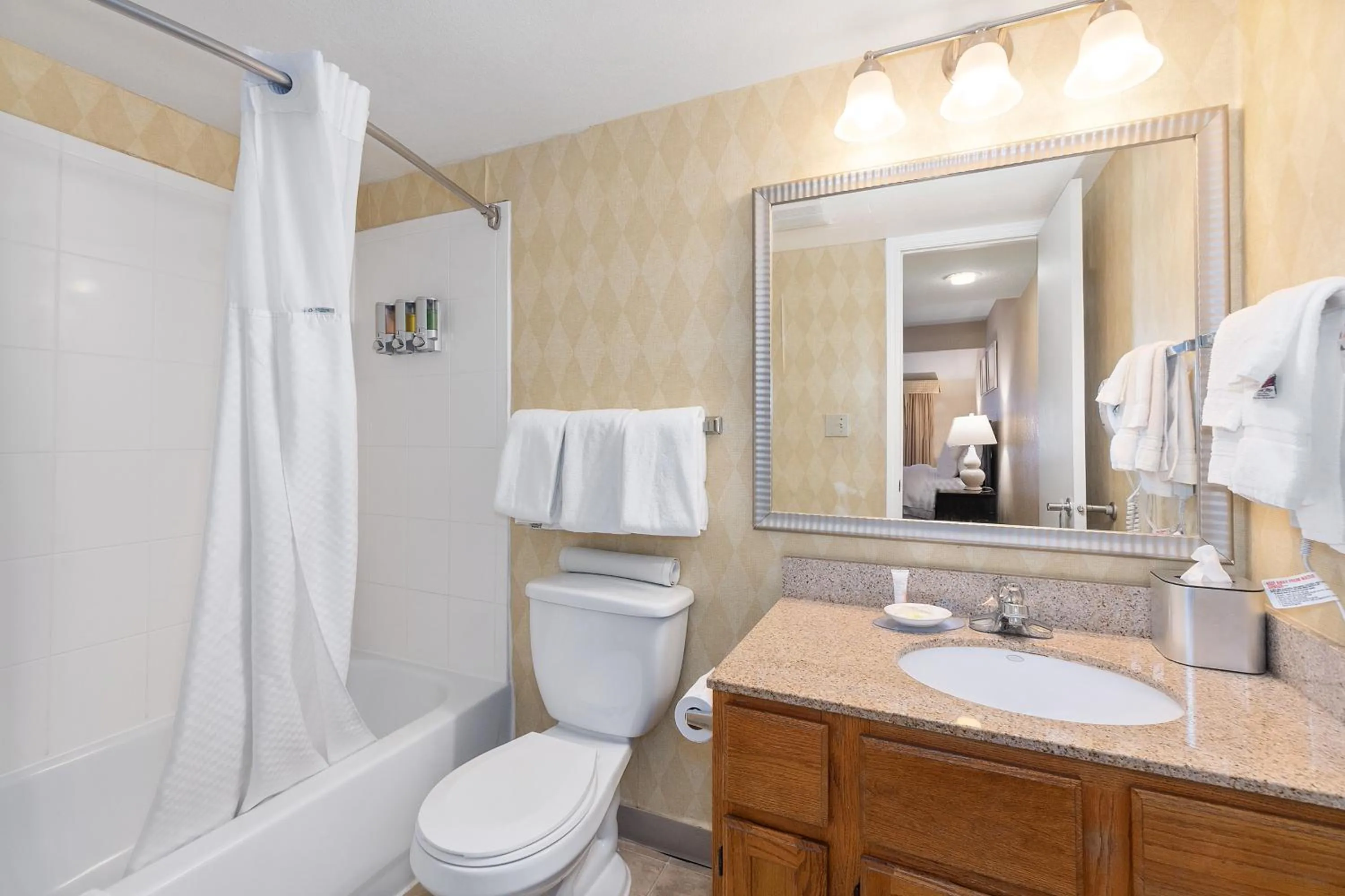 Toilet in Residences at Daniel Webster