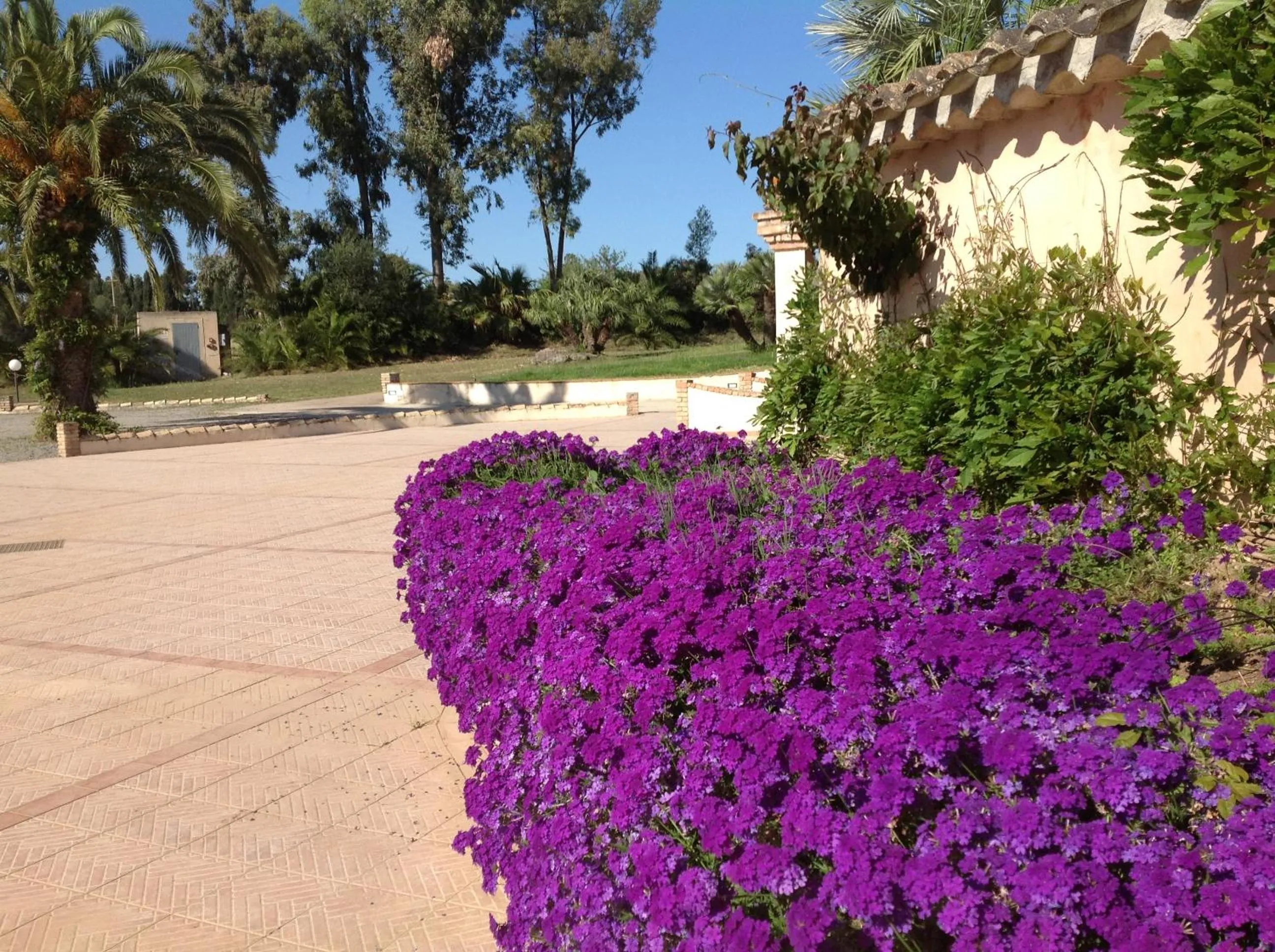 Decorative detail in Baia Delle Palme Beach