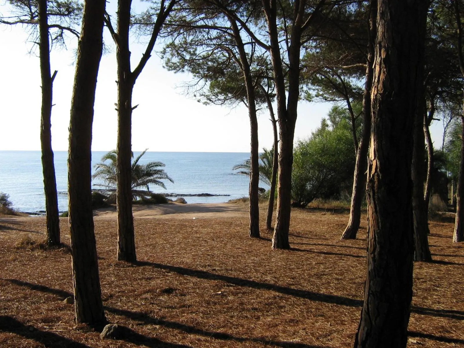 Sea view in Baia Delle Palme Beach