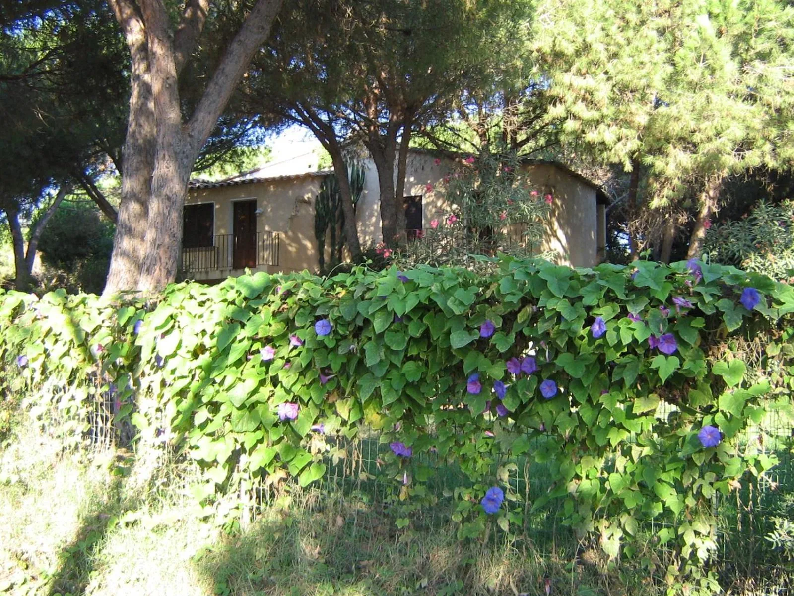Garden view in Baia Delle Palme Beach