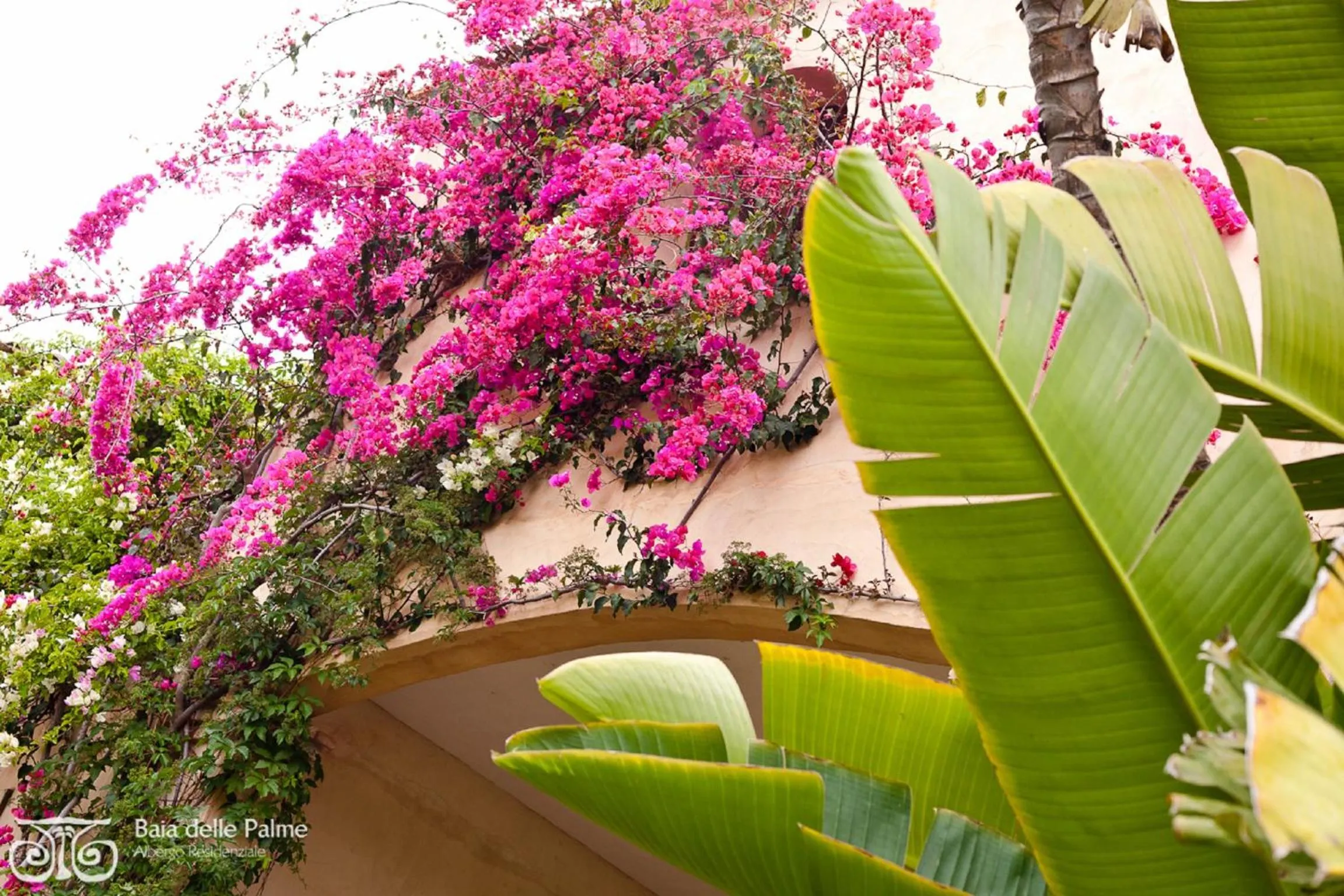 Garden in Baia Delle Palme Beach