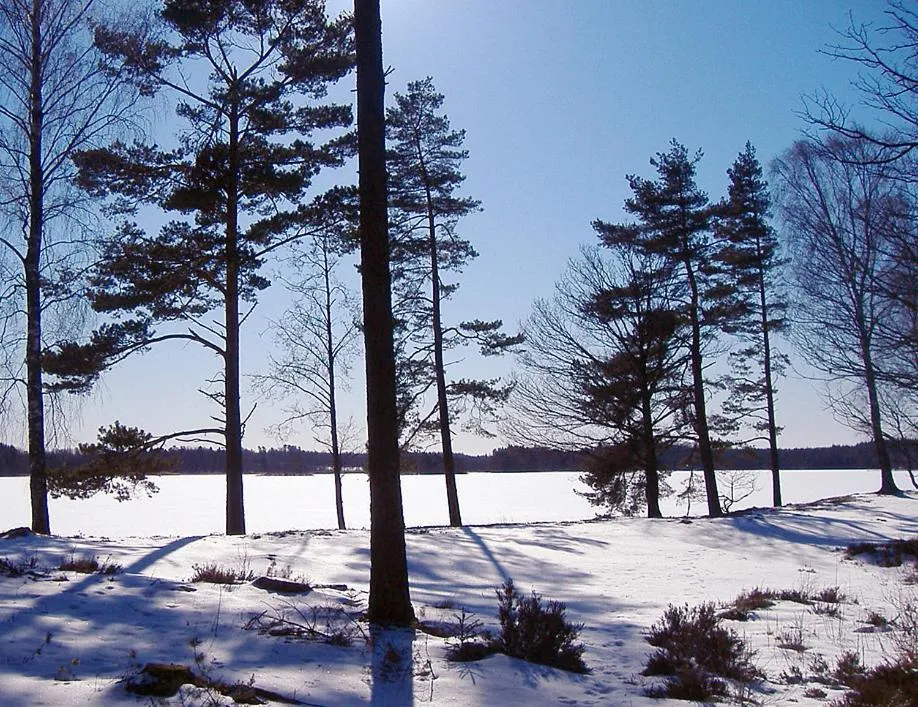 Natural landscape in Ekebacken Hotell & Konferens