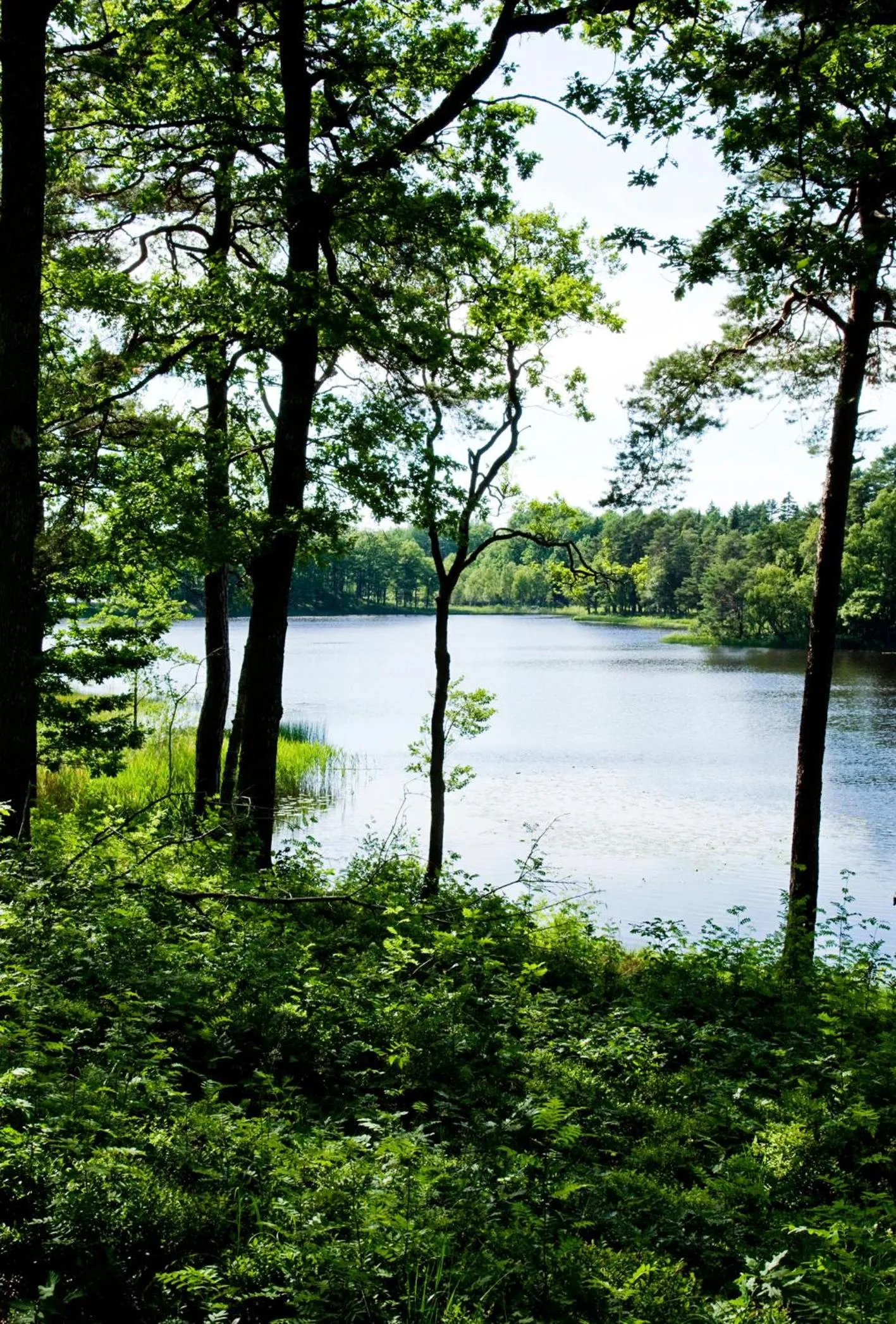 Breakfast in Ekebacken Hotell & Konferens