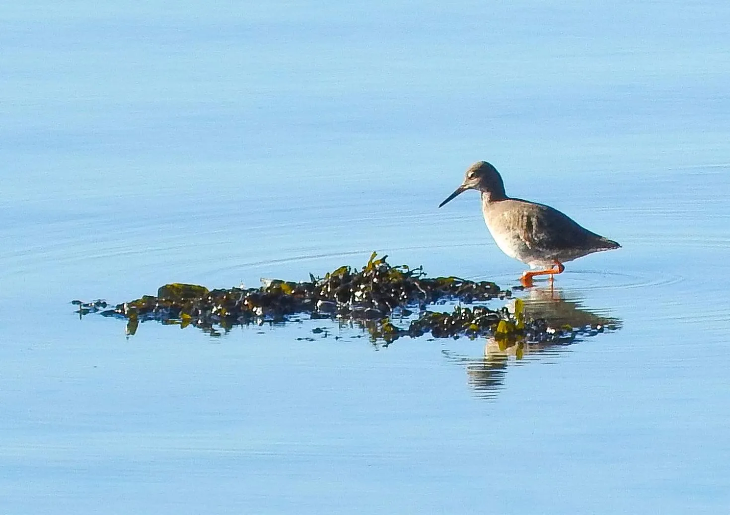 Natural landscape in Hotel Alicia Auray Le Bono